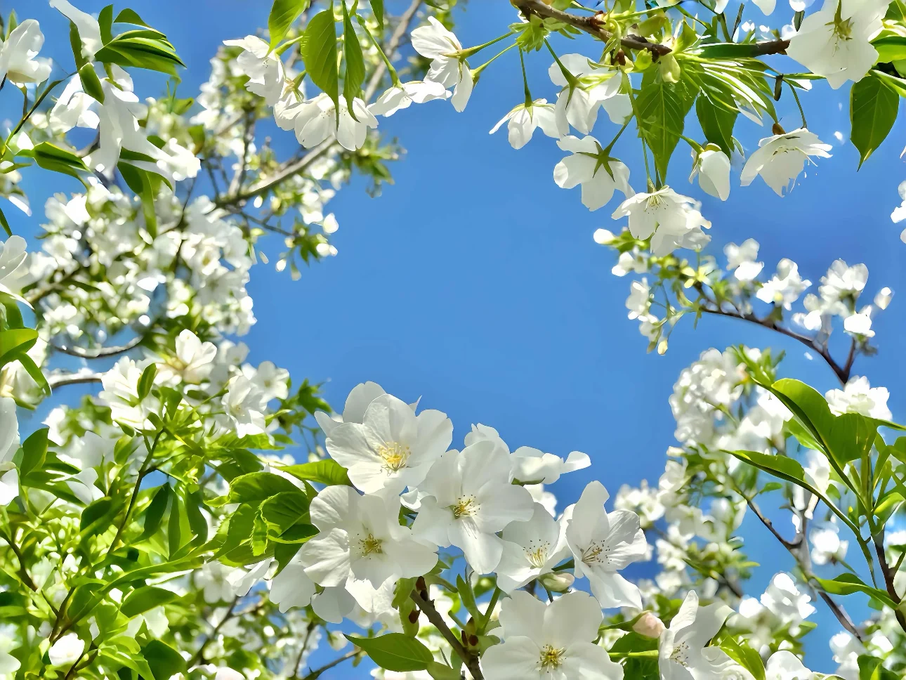 ipad 3D高清壁纸合集3.0