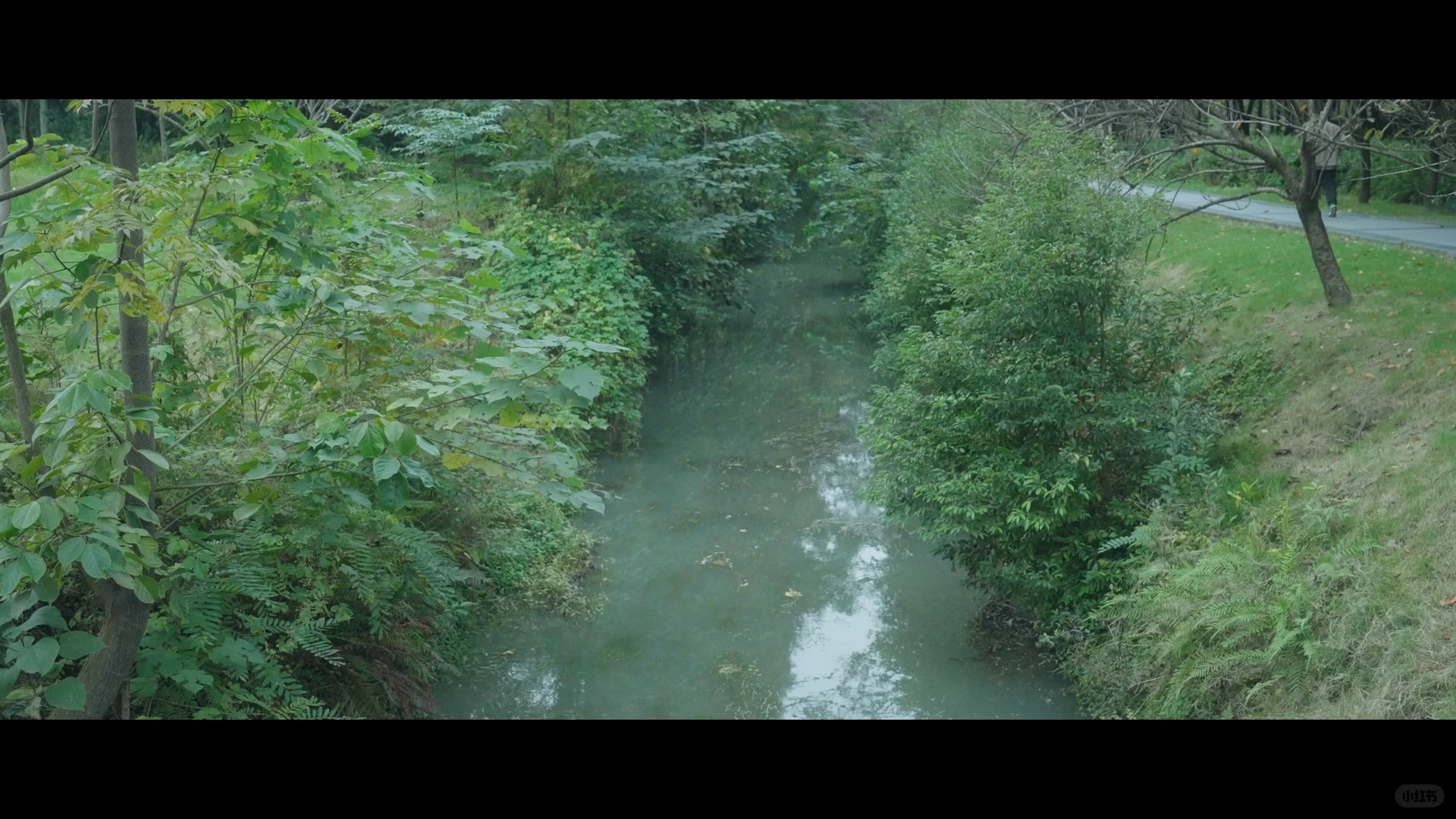 日拍夜仿色练习