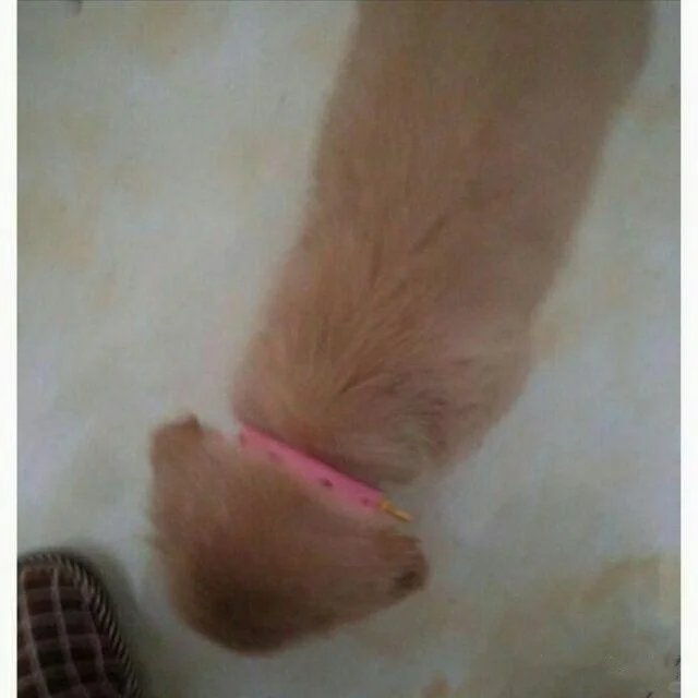 哒咩！！那些个顶级错位图😂