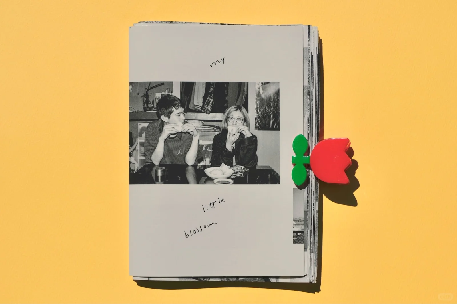 川岛小鸟教你做手工写真集📖