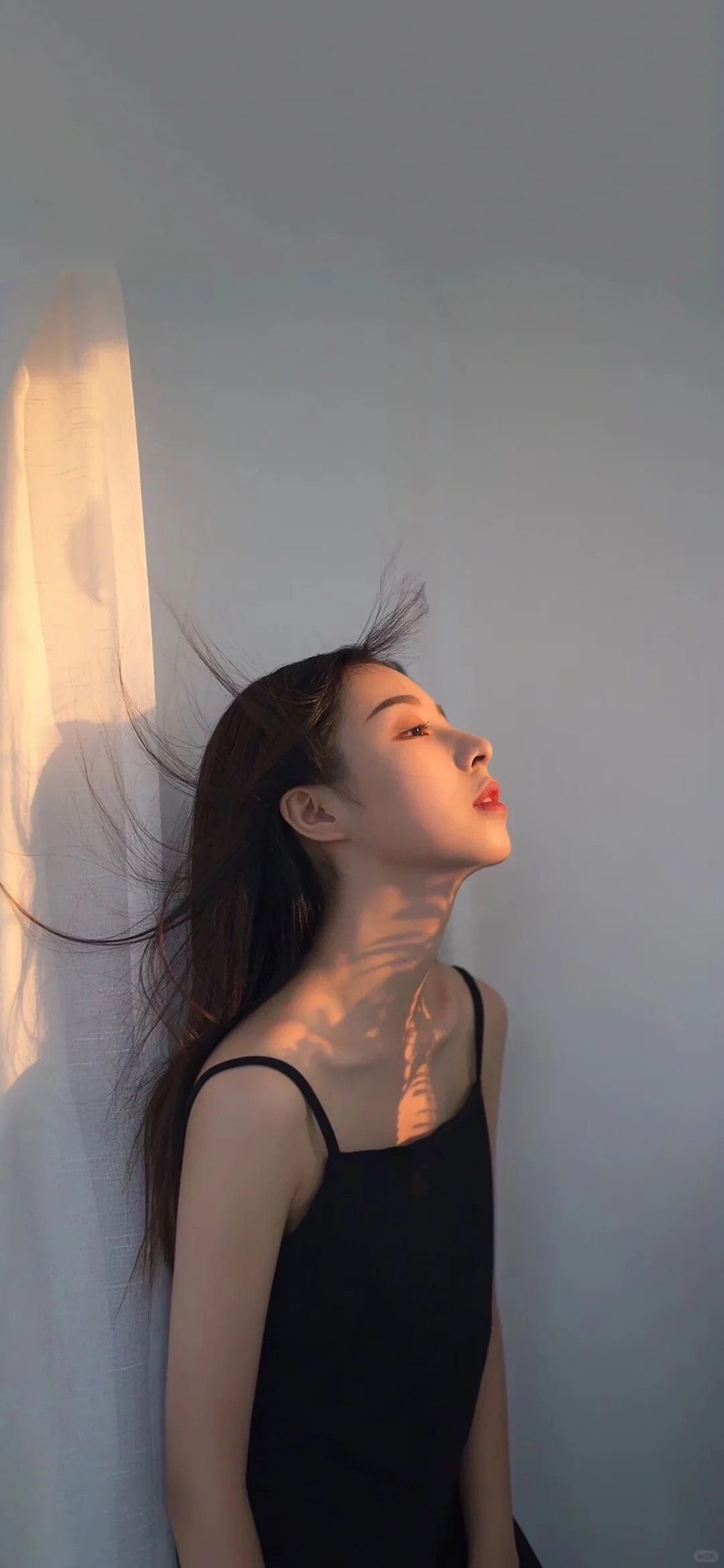 今日份系iPhone壁纸高清