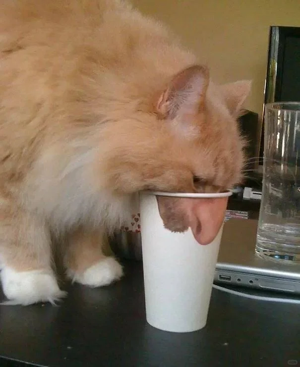 哒咩！！那些个顶级错位图😂