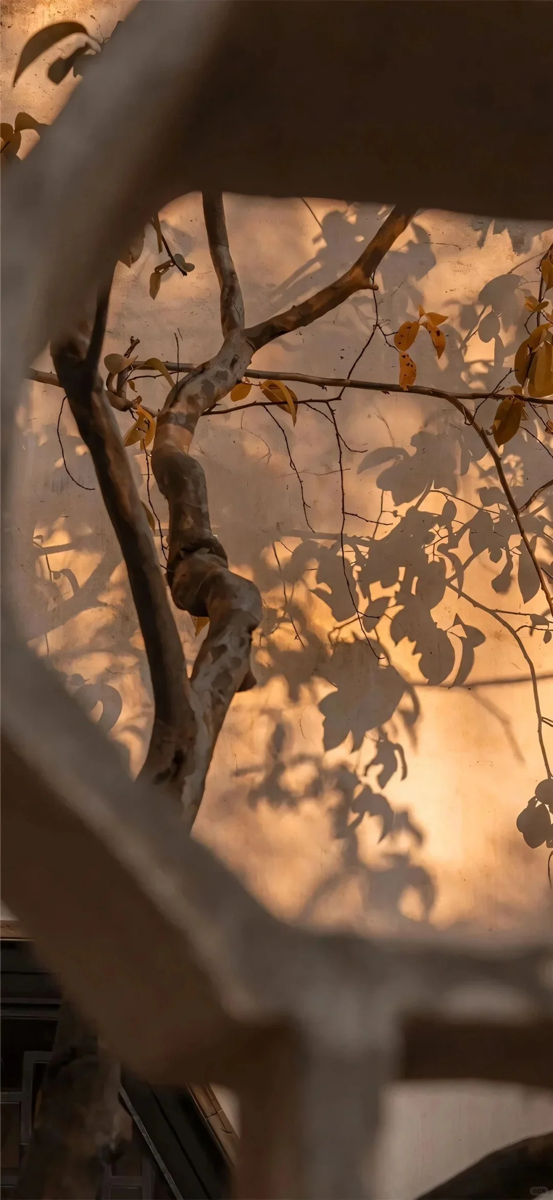 全屏壁纸 | ins美拉德色系壁纸🍂