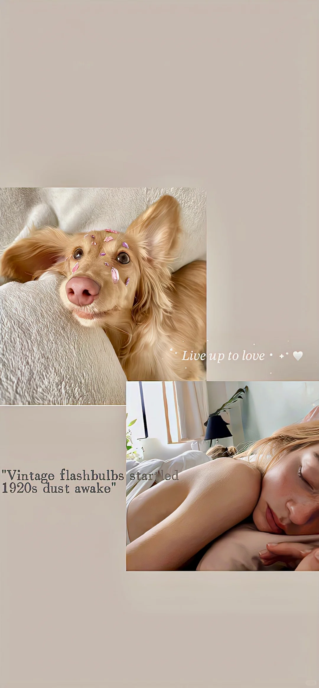 宝贝该换壁纸了