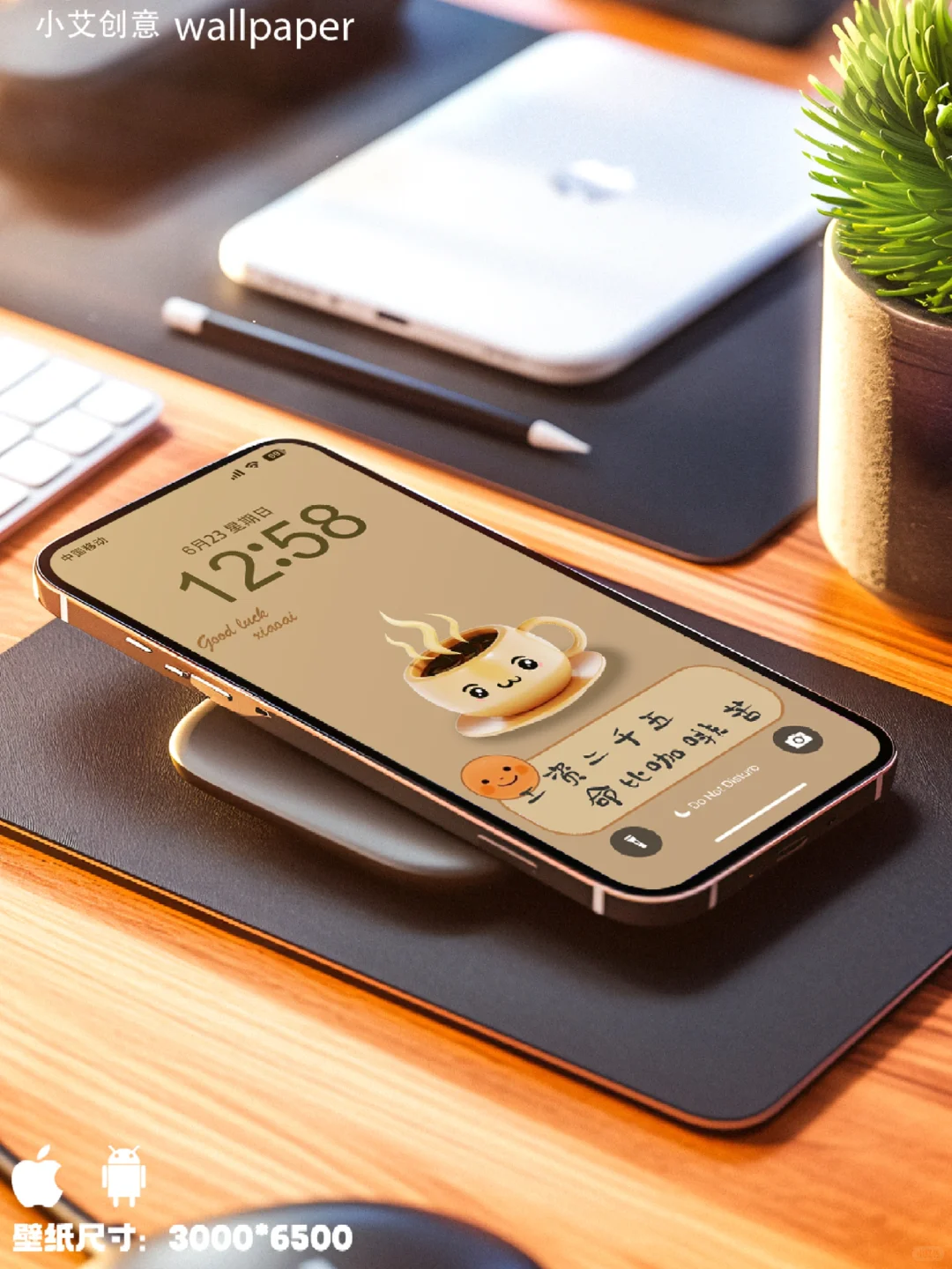 工资二千五,命比咖啡苦/简约壁纸#072