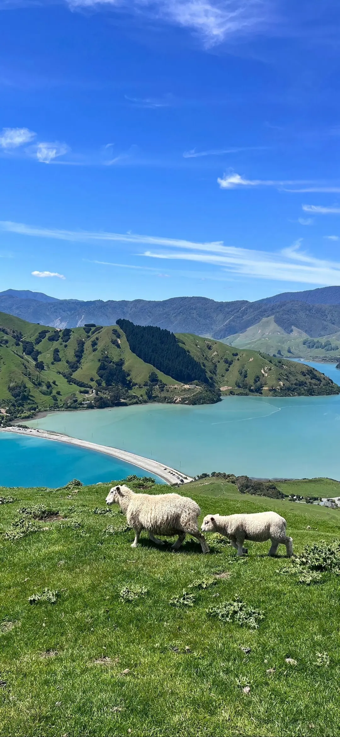 一组治愈的壁纸