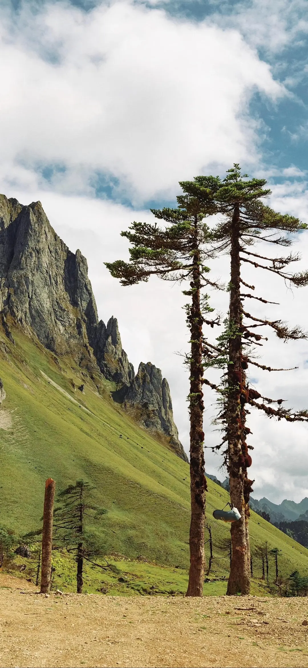 一组治愈的壁纸