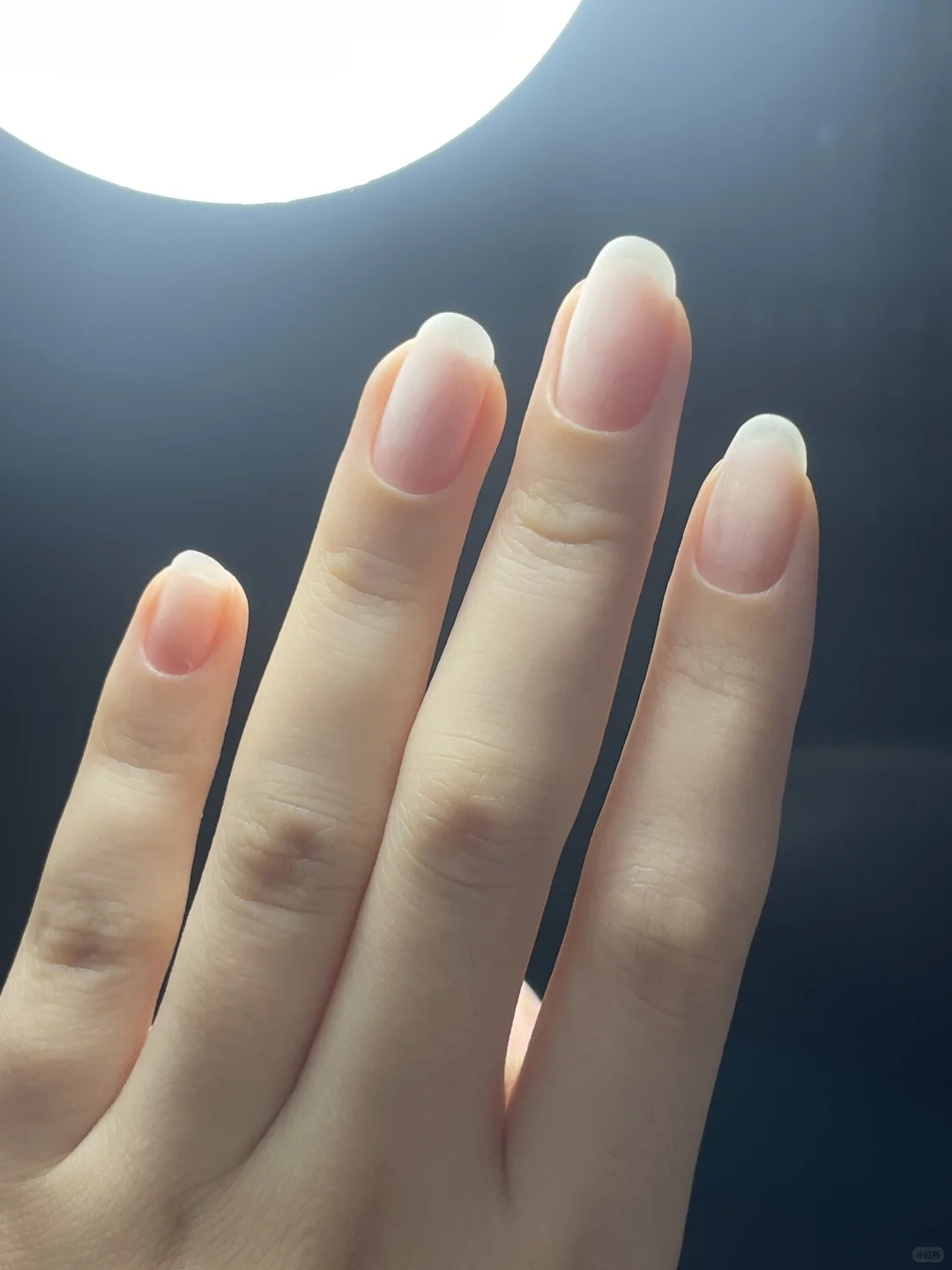 这样的极致娇艳确实是第一次