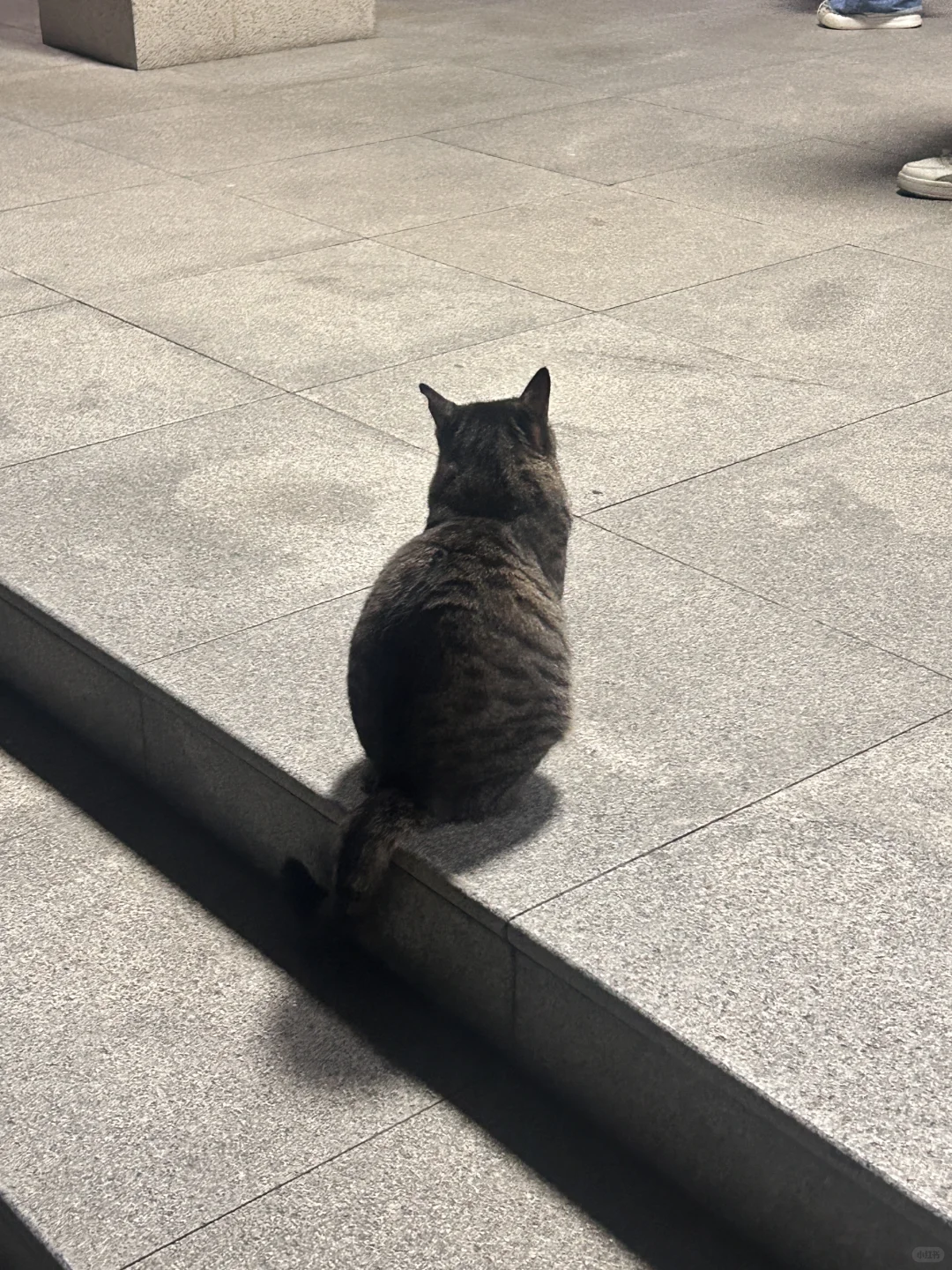 211工科女大重启人生打卡第一天。