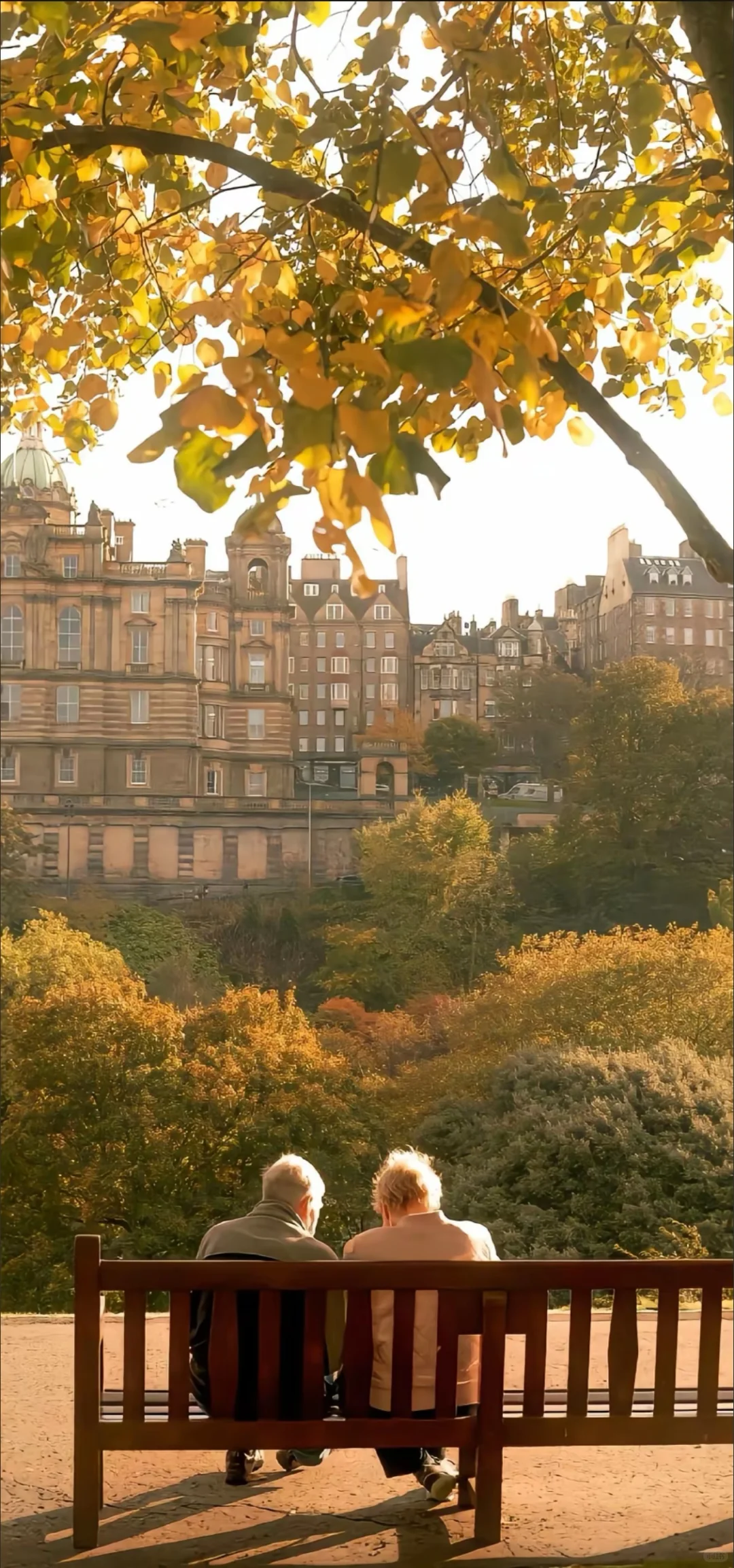 被问爆的秋日壁纸！每一张都像把秋天揣兜里