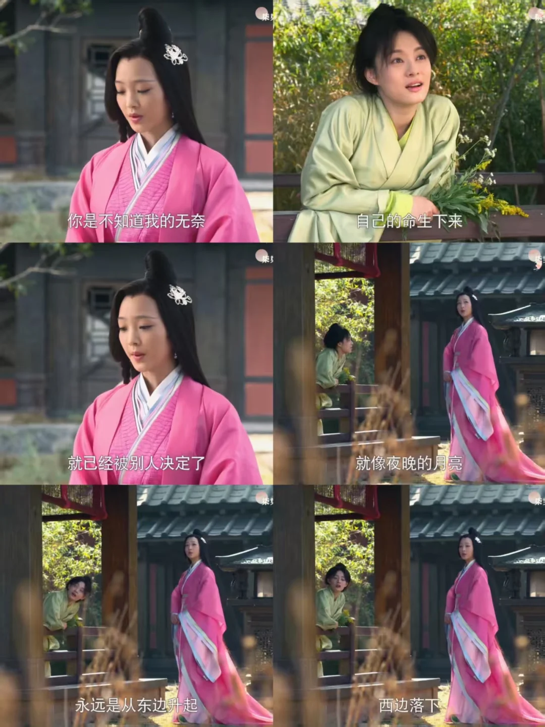 芈月好厉害用一束不起眼的花钓到了一个美人