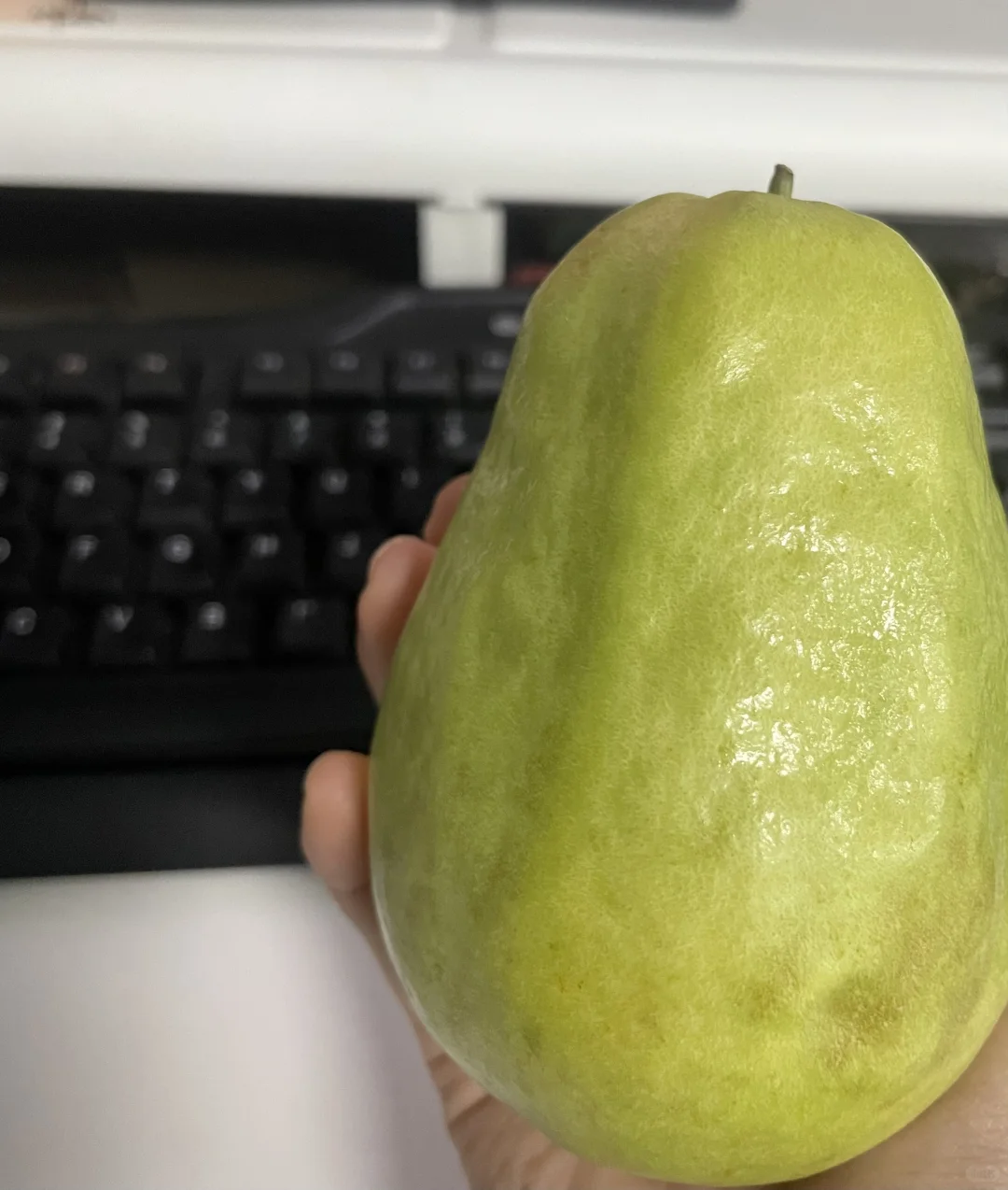 没人说芭乐的味道真的很诱人吗！！