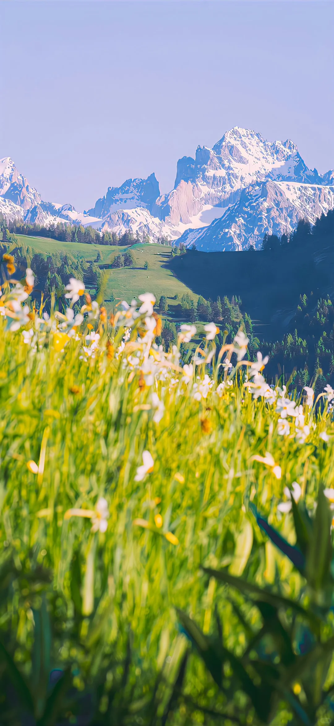 分享喜欢的壁纸