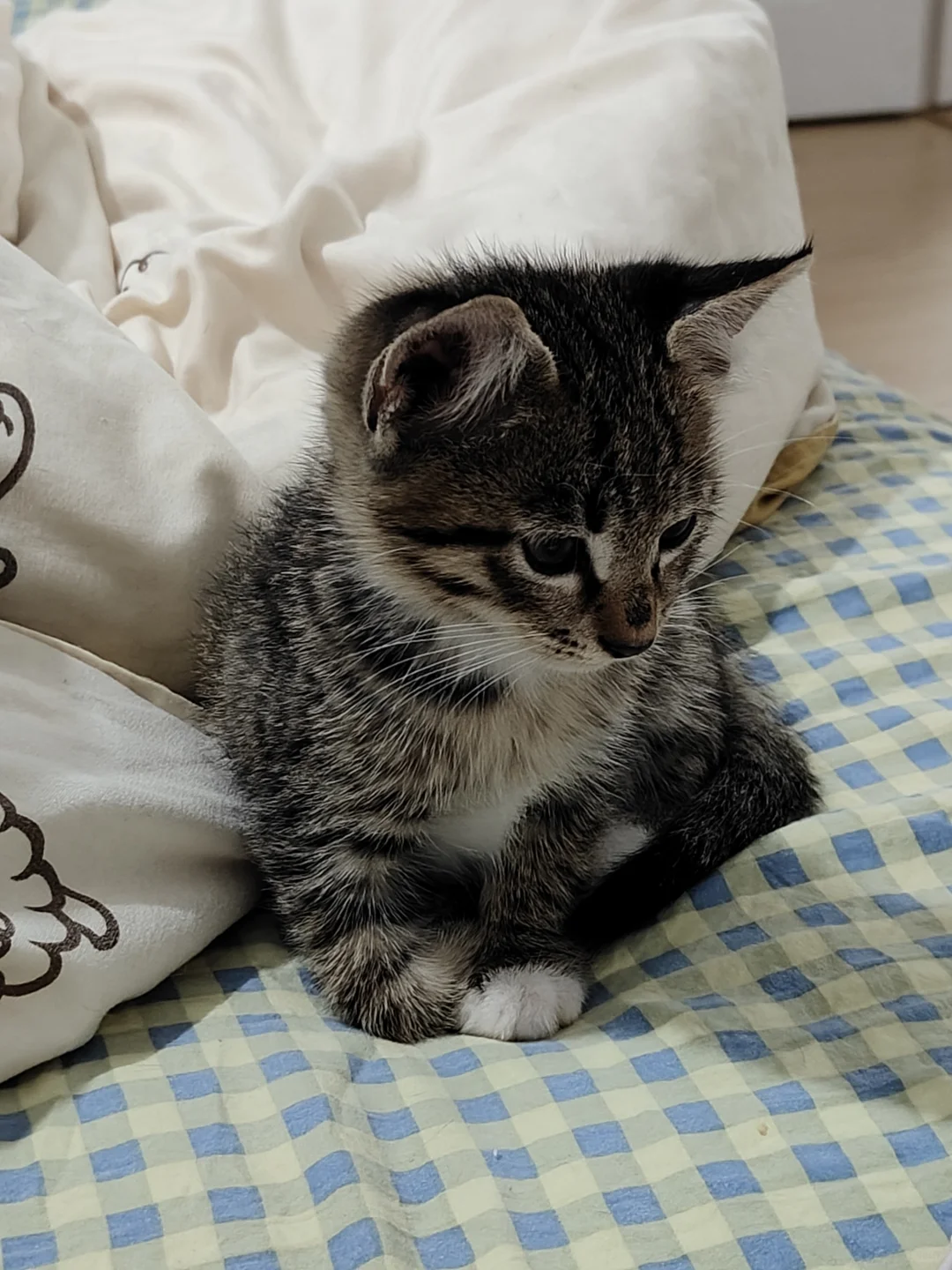 在老公衣柜发现蕾丝内衣，老公说是婆婆的