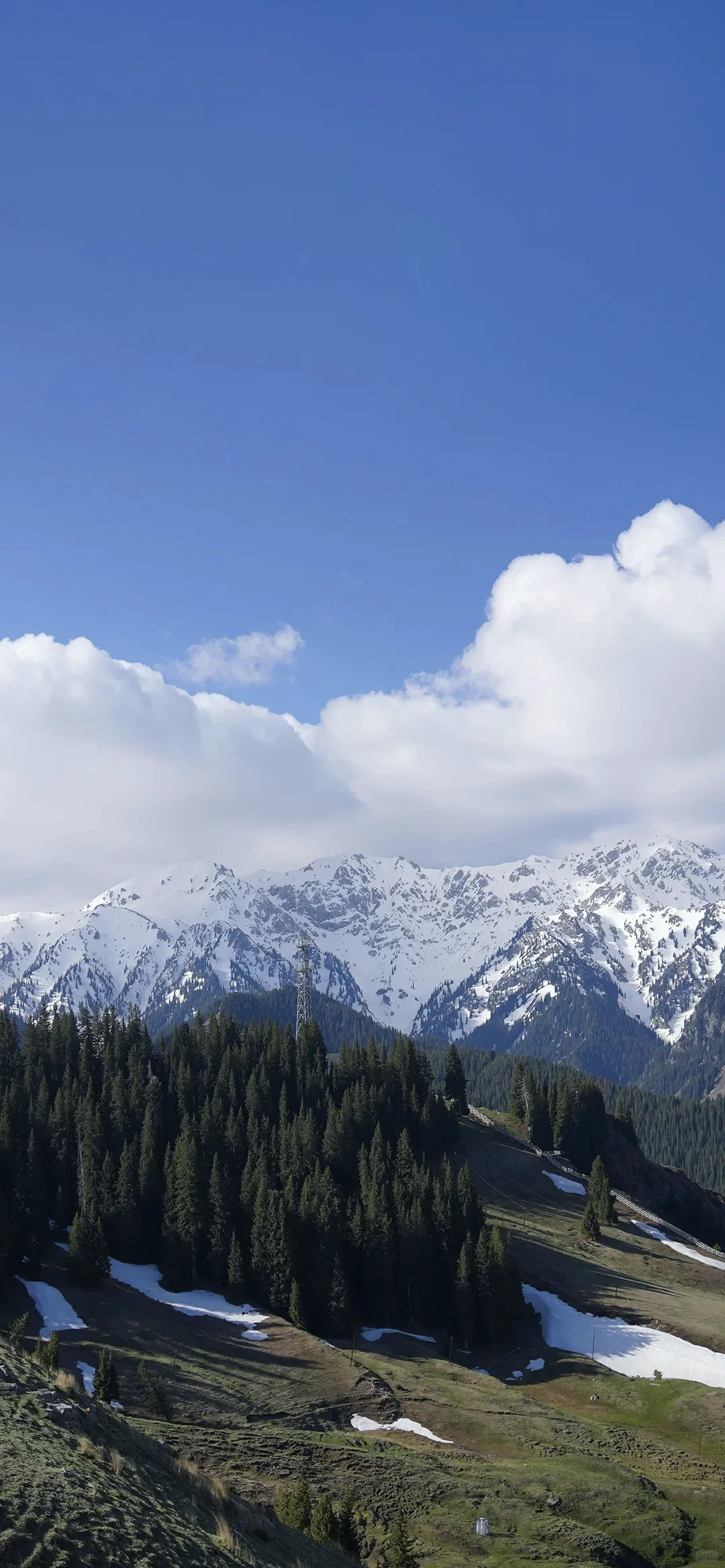 每日壁纸｜08.03