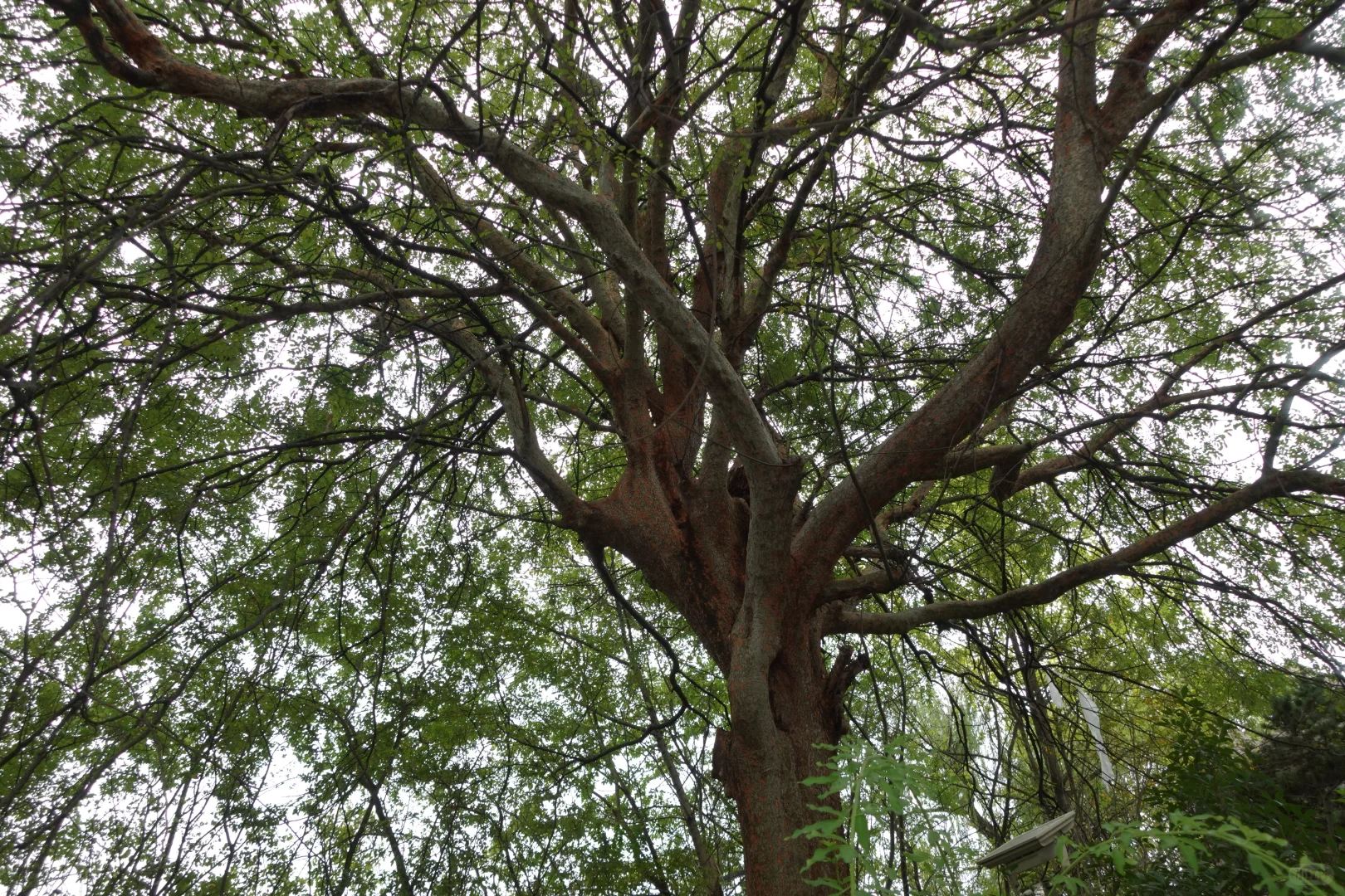 古早熟女！迷上了这种复古的姐感！