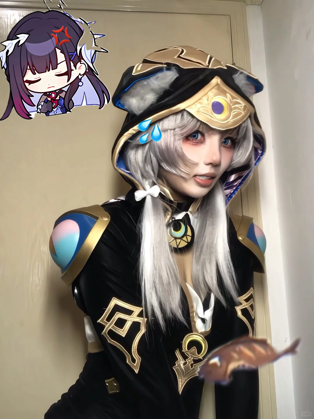 爵士好猫～↖(^ω^)↗