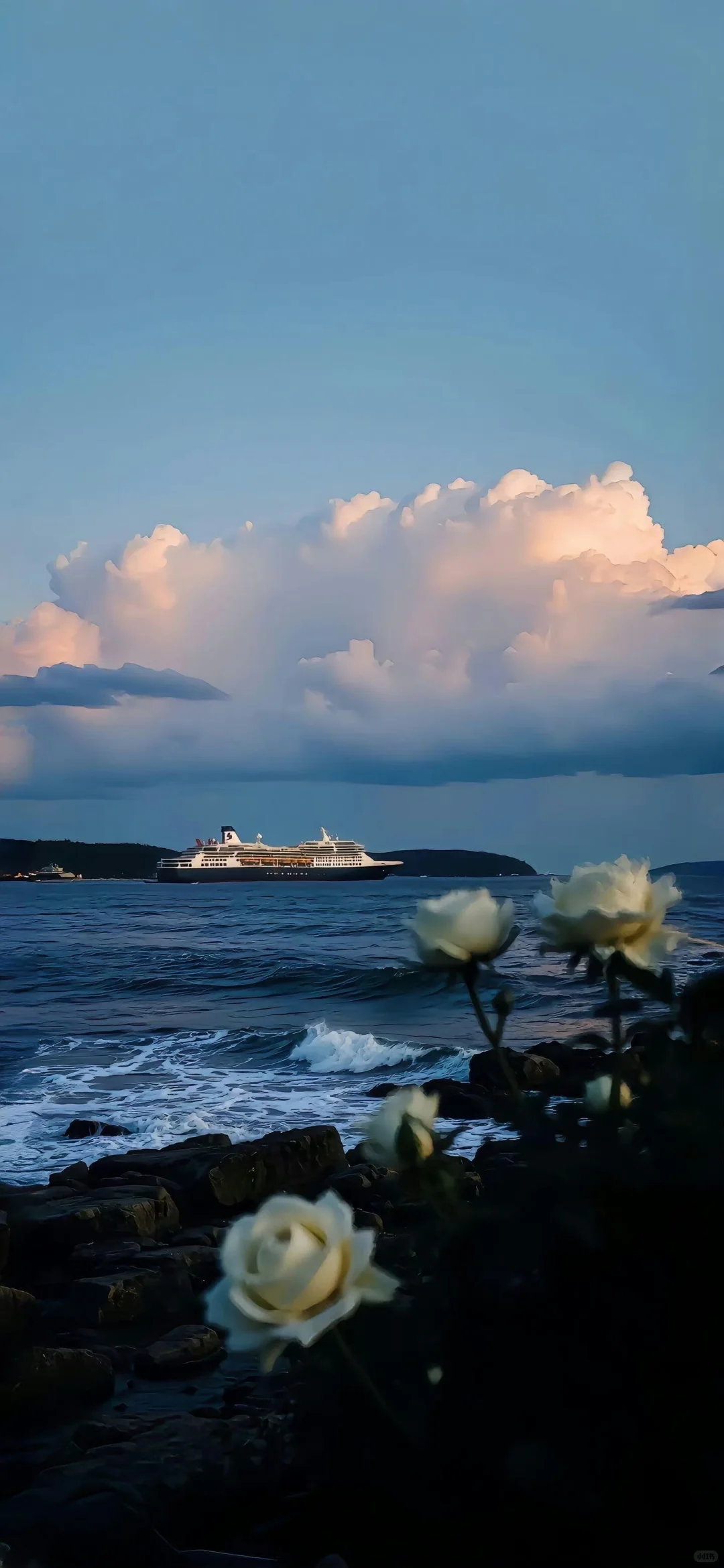 🌊壁纸｜ins高清壁纸🥥