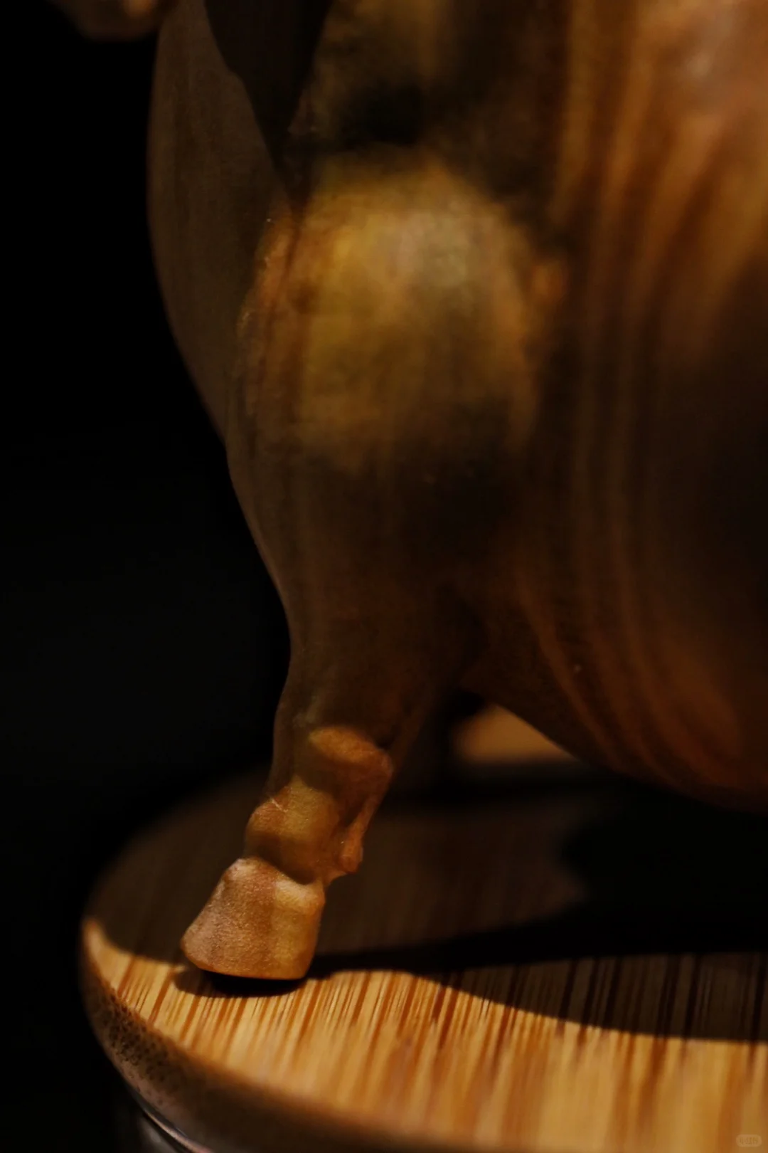 小马悠哉，静谧时光。