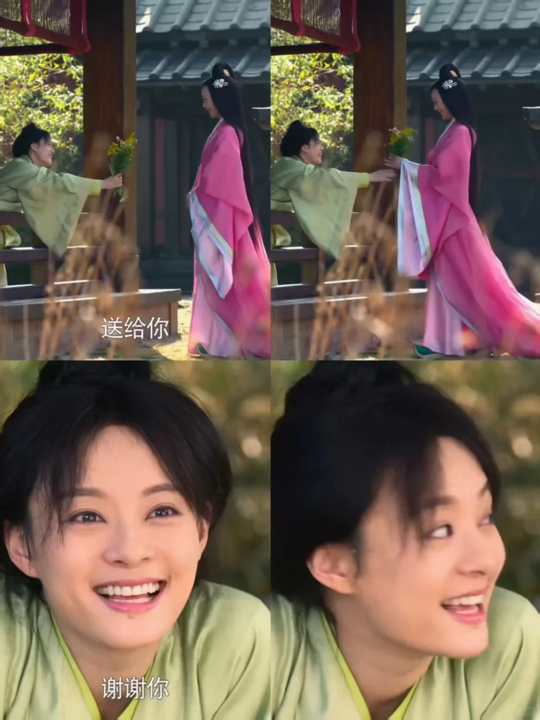 芈月好厉害用一束不起眼的花钓到了一个美人