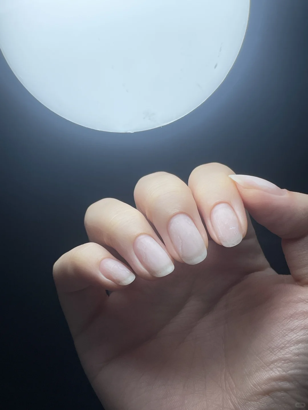 这样的极致娇艳确实是第一次