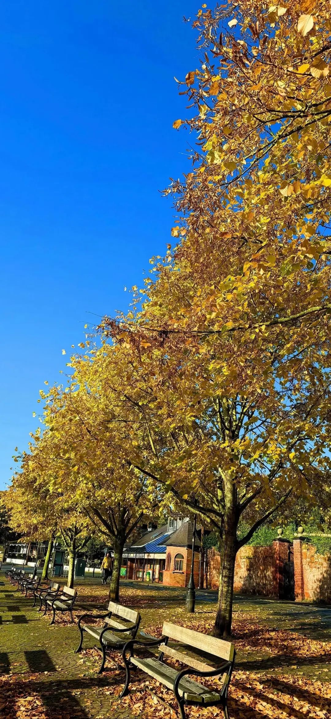 一组治愈的壁纸