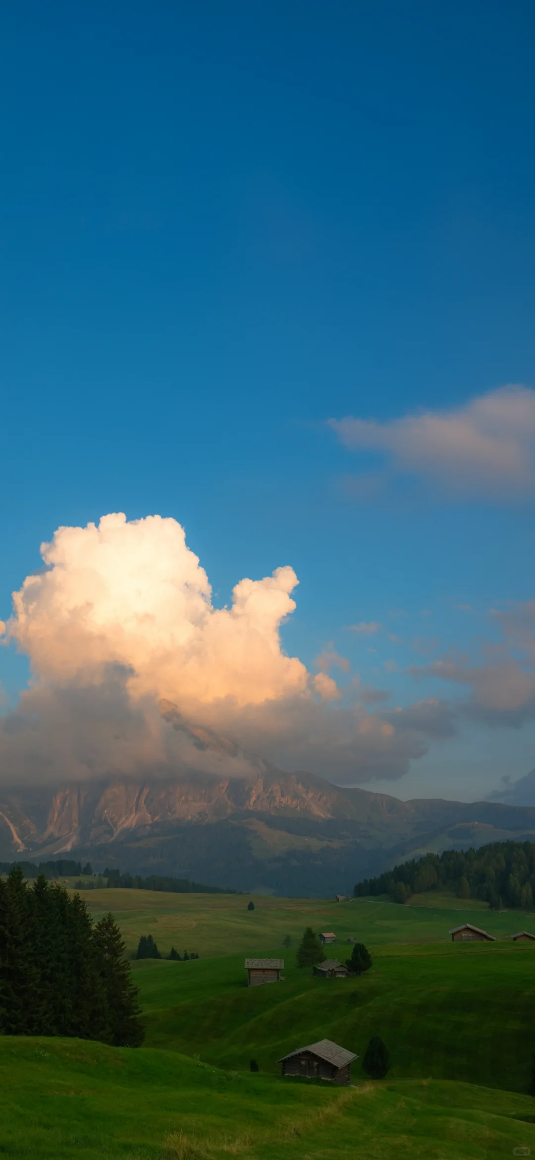 每日壁纸｜08.03