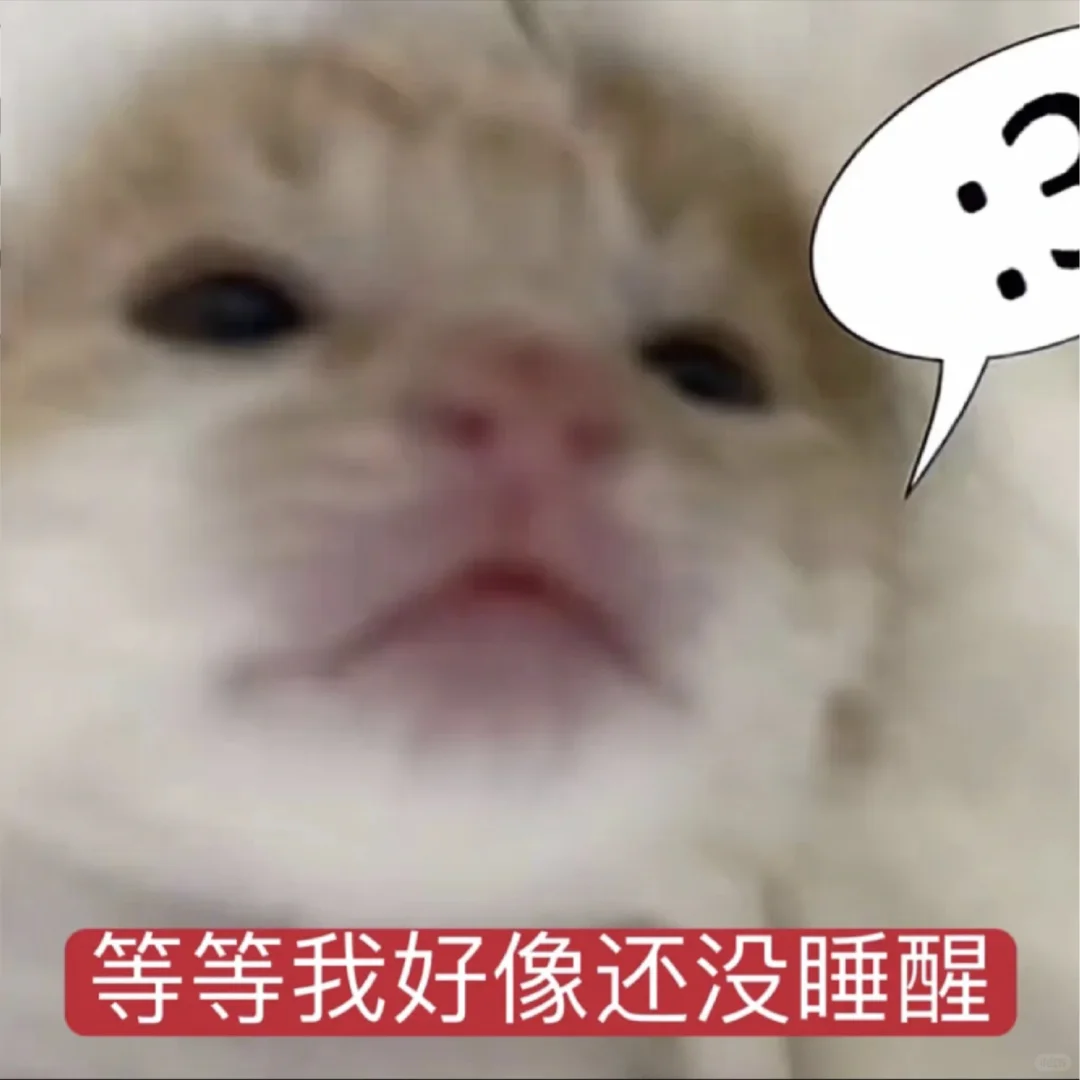 我爱你呀宝宝【审美积累第十二弹】