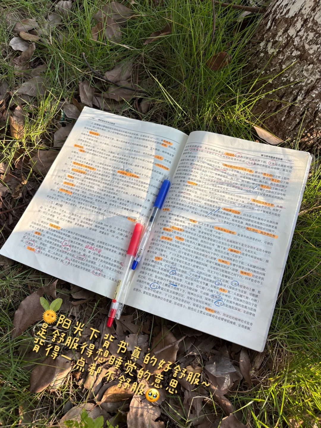 ai生成图片｜海的那边是什么，不用告诉医学生