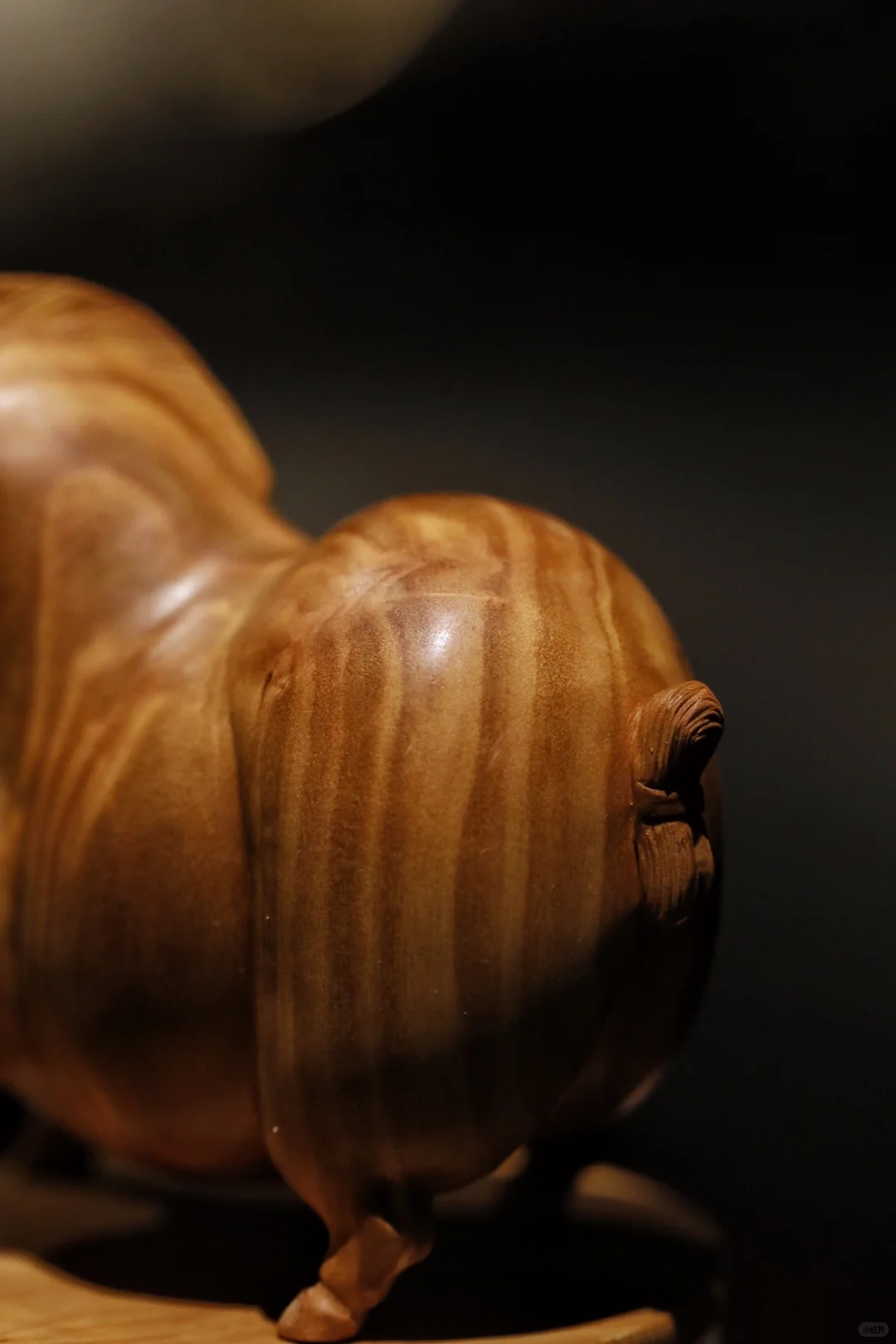 小马悠哉，静谧时光。