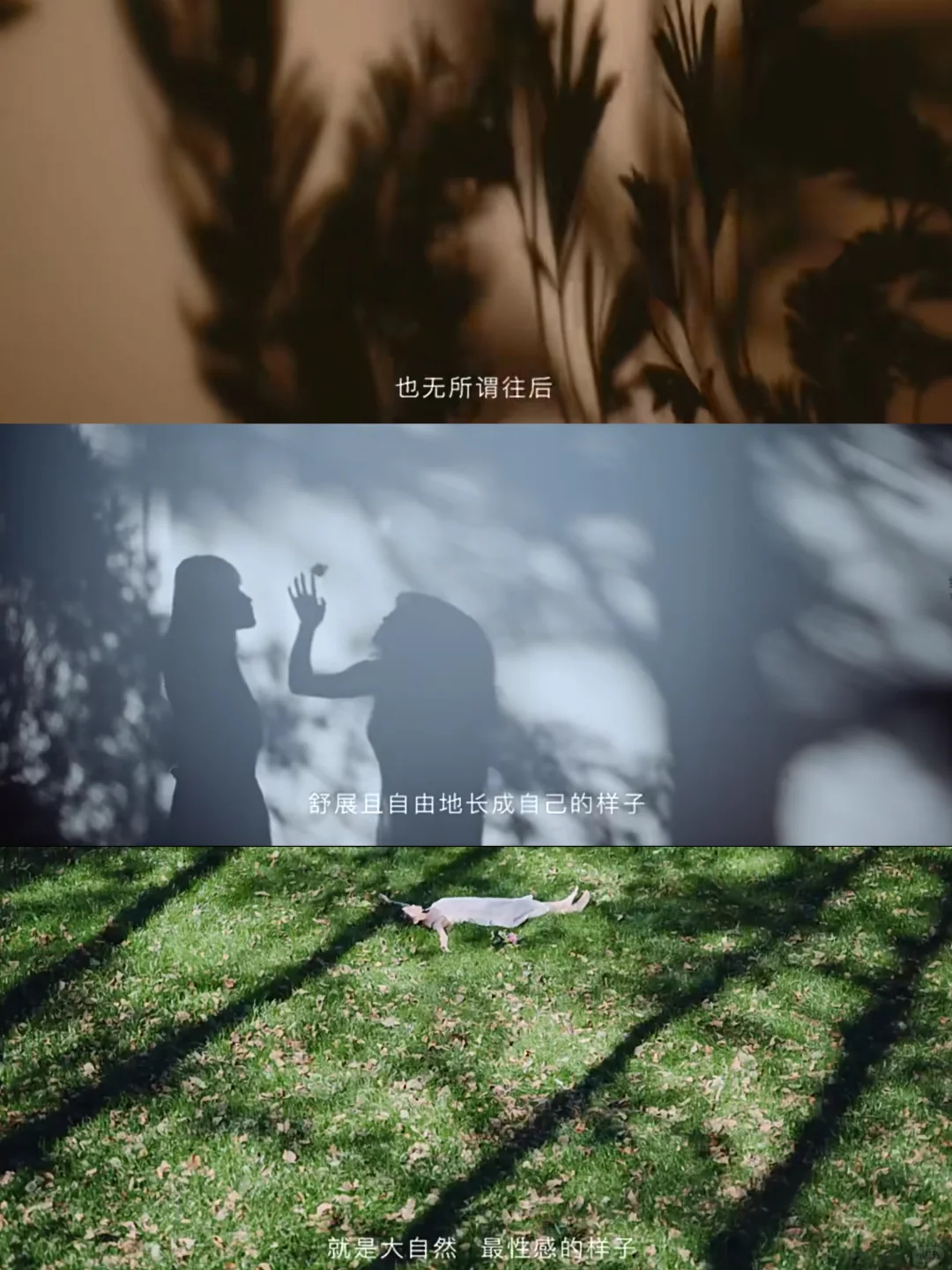 每日文案丨文字不负温柔时光