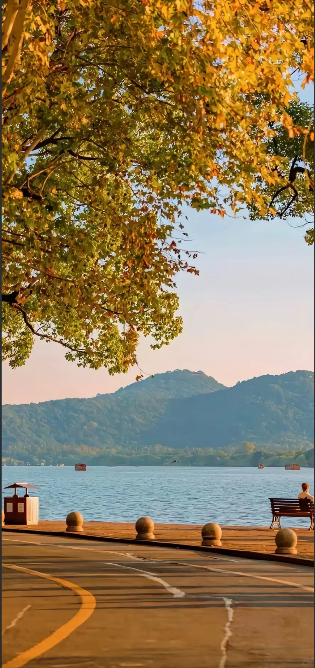 被问爆的秋日壁纸！每一张都像把秋天揣兜里