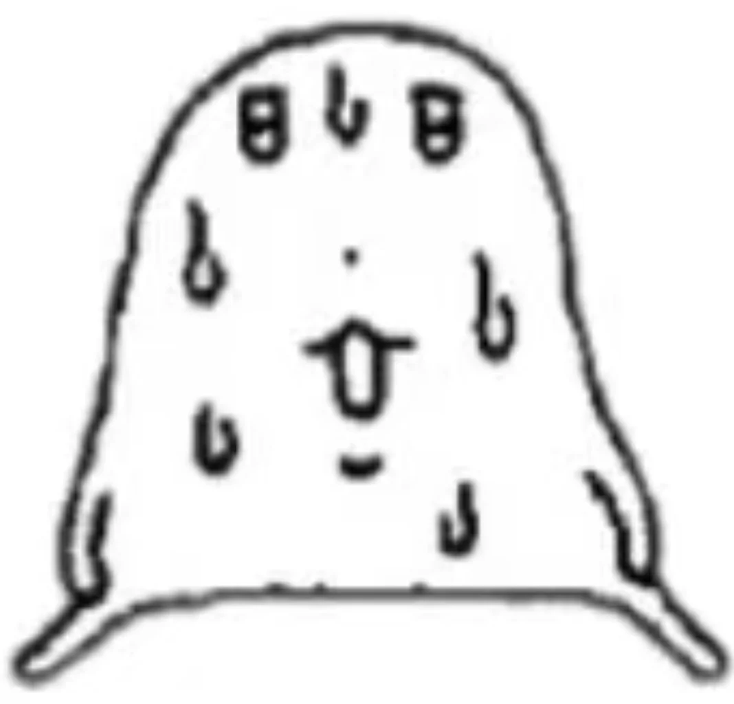 表情包丨麻薯麻薯麻薯