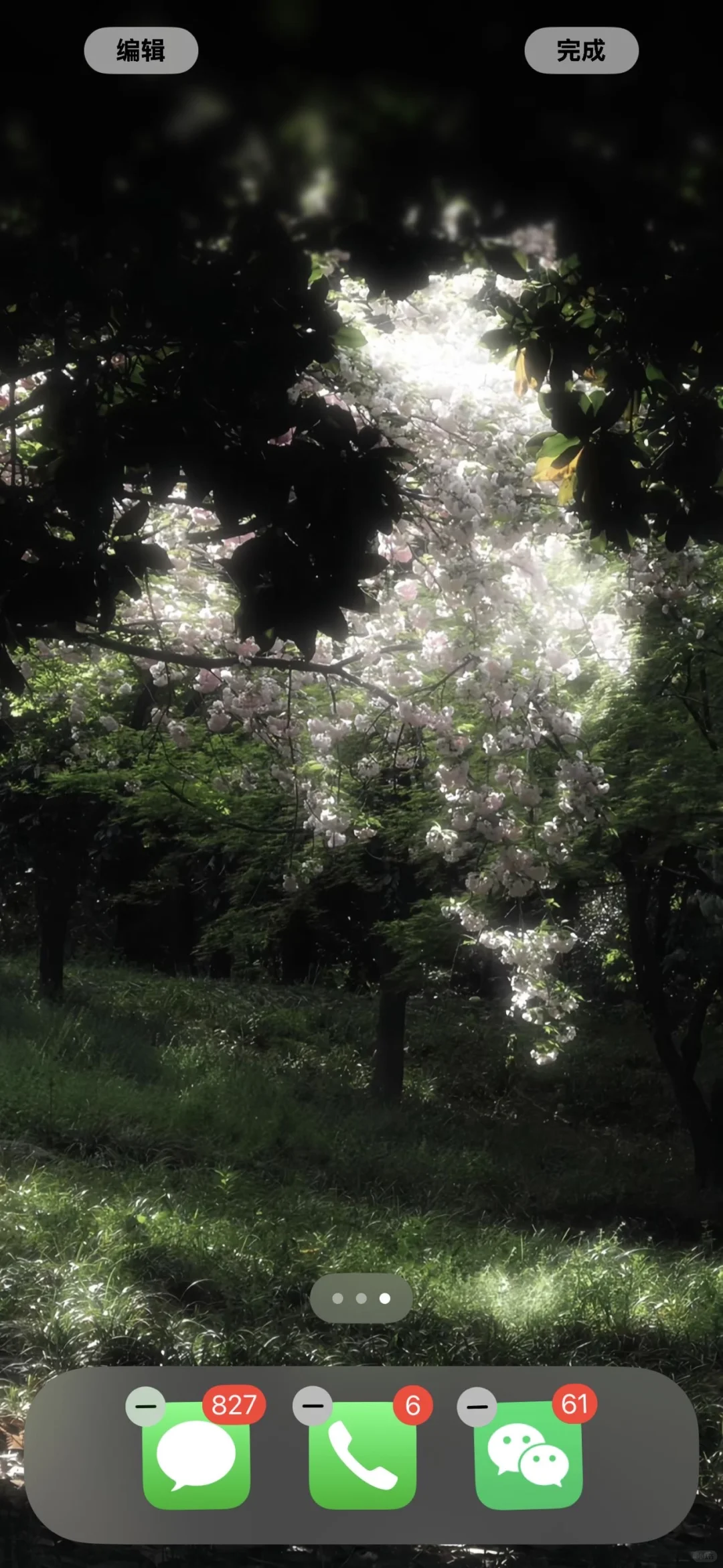 🍀*･ﾟ幸運が訪れる.绝美壁纸