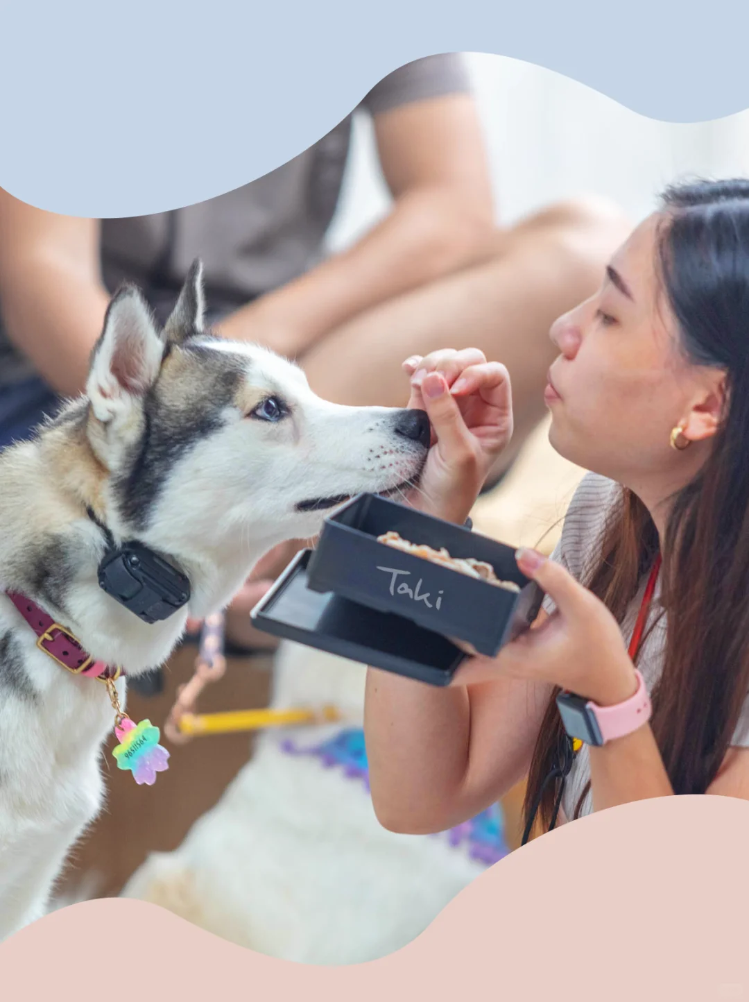 你闻不到，但它知道