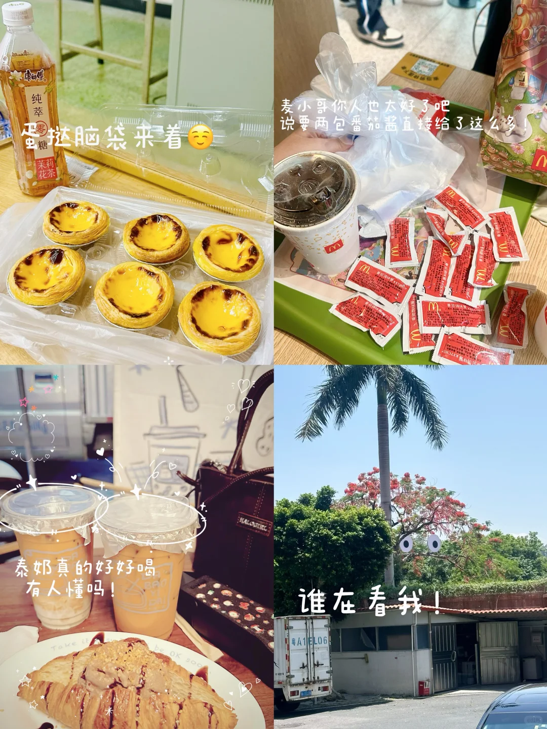 女大日常plog🍪把早八疲惫嚼成脆香小确幸