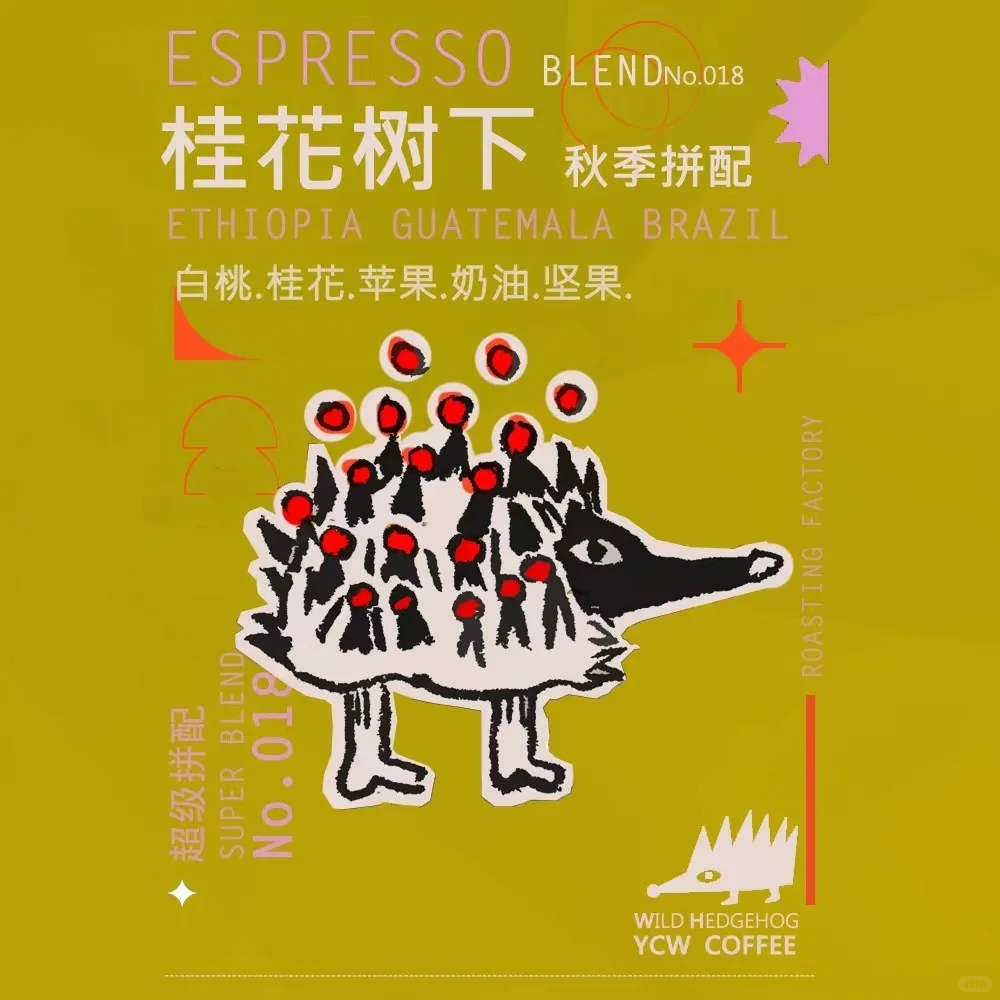 中秋节，咖啡豆☕️新品