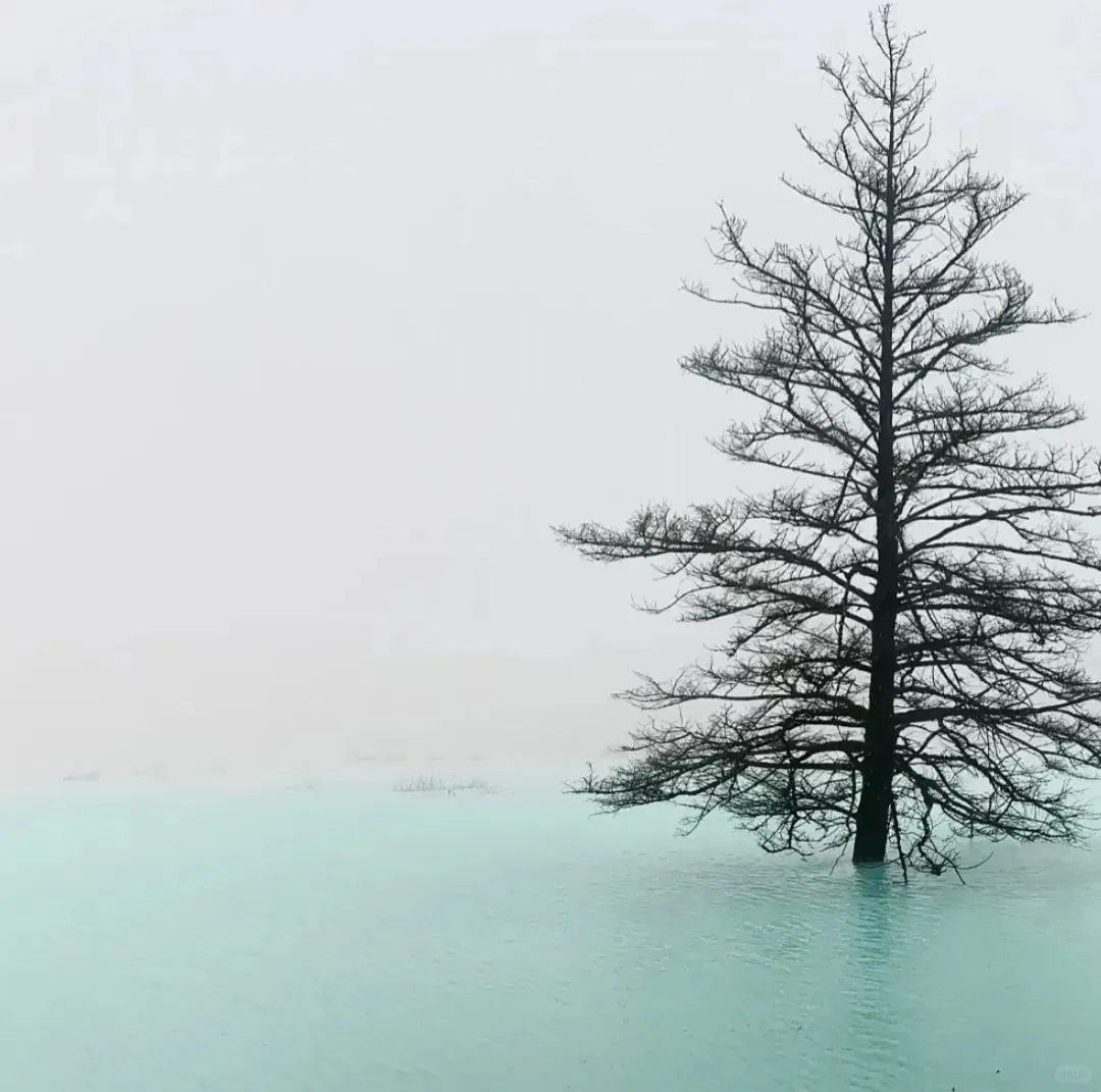 WeChat氛围感女头+背景