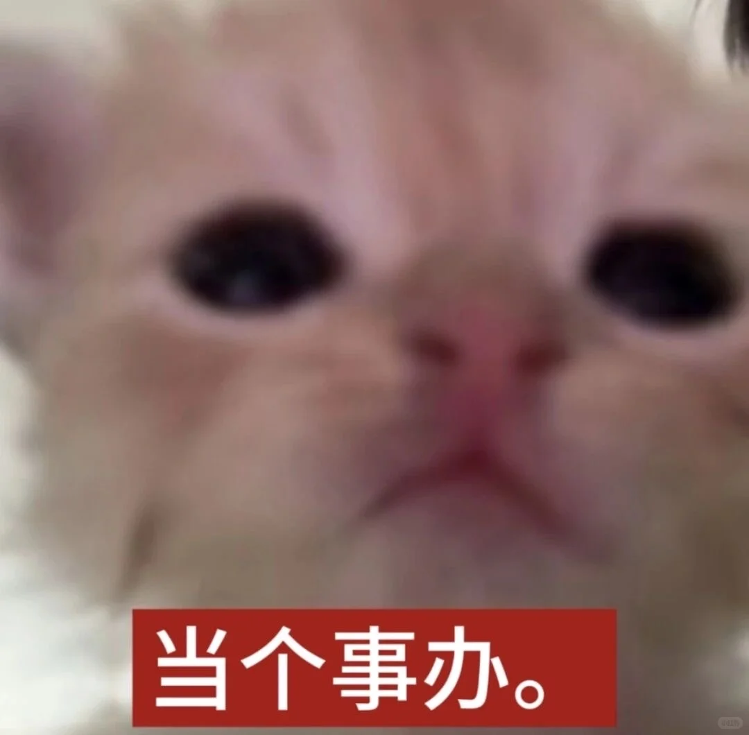 Share|抽象表情包-10.18