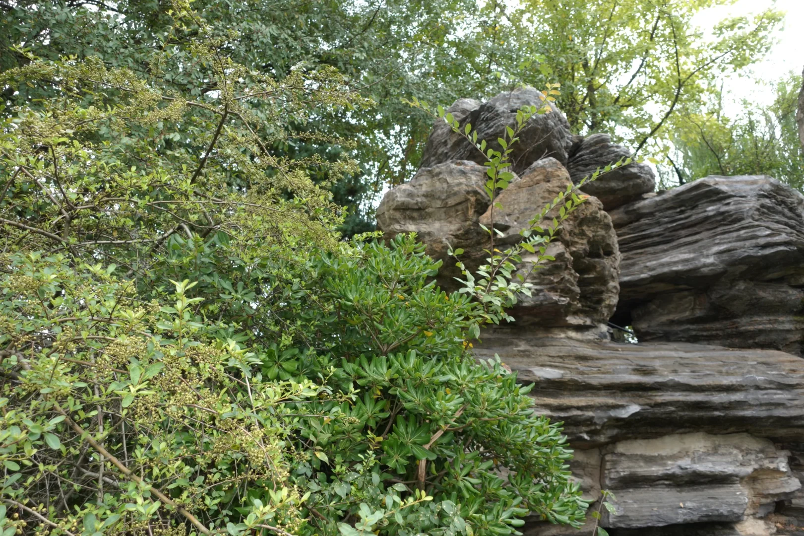 古早熟女！迷上了这种复古的姐感！