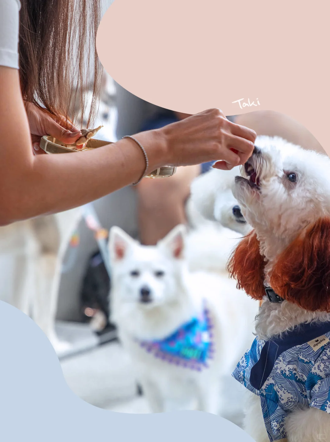 你闻不到，但它知道