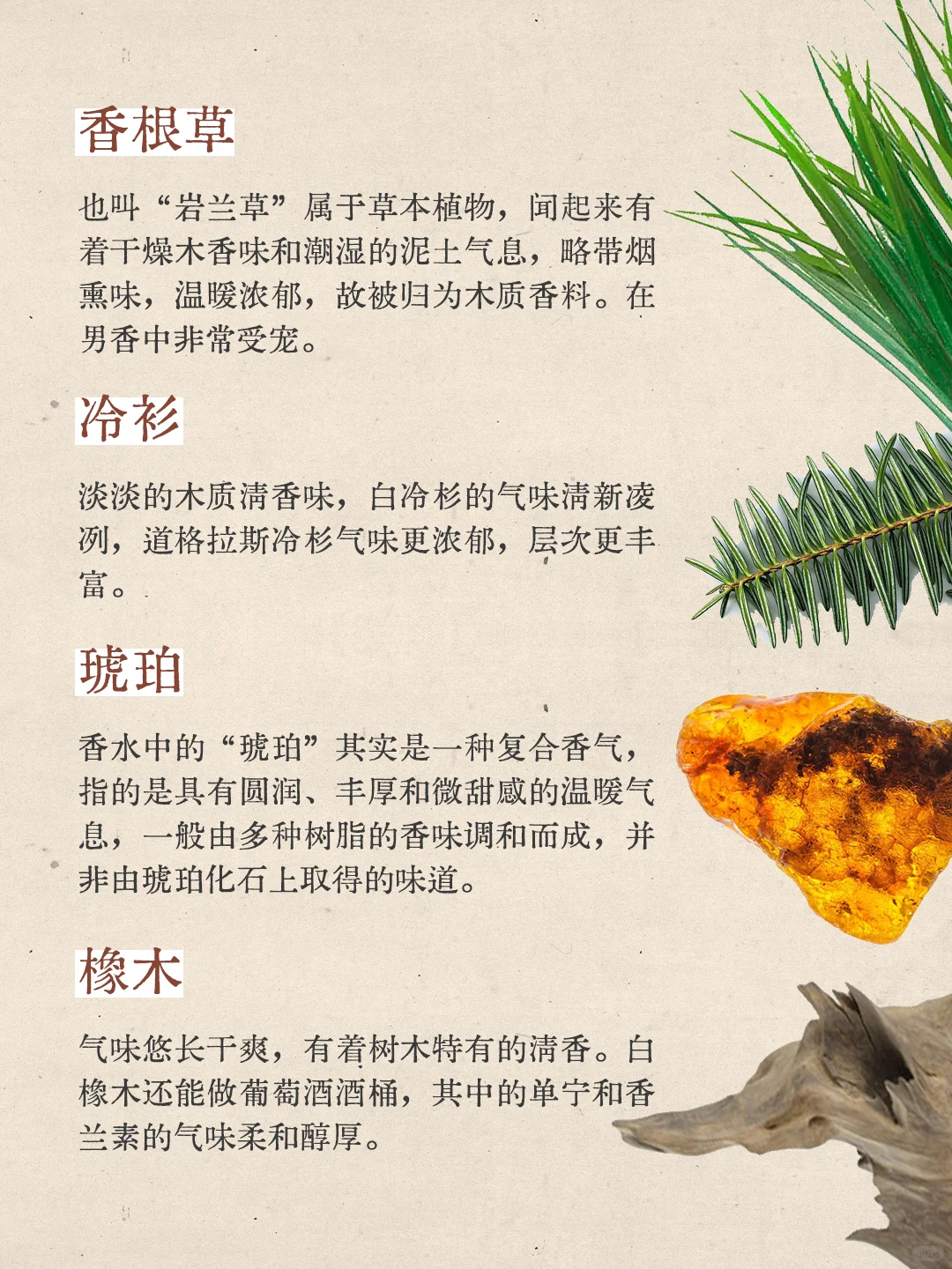 🌲木质香盘点 你更喜欢哪种？
