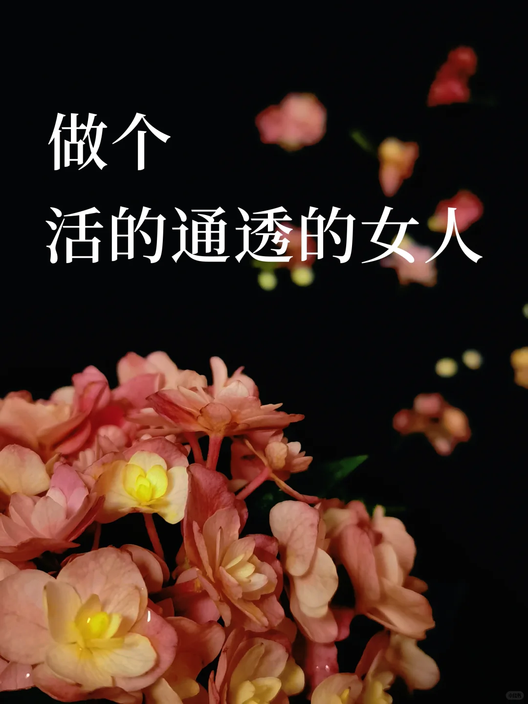 做个活的通透的女人