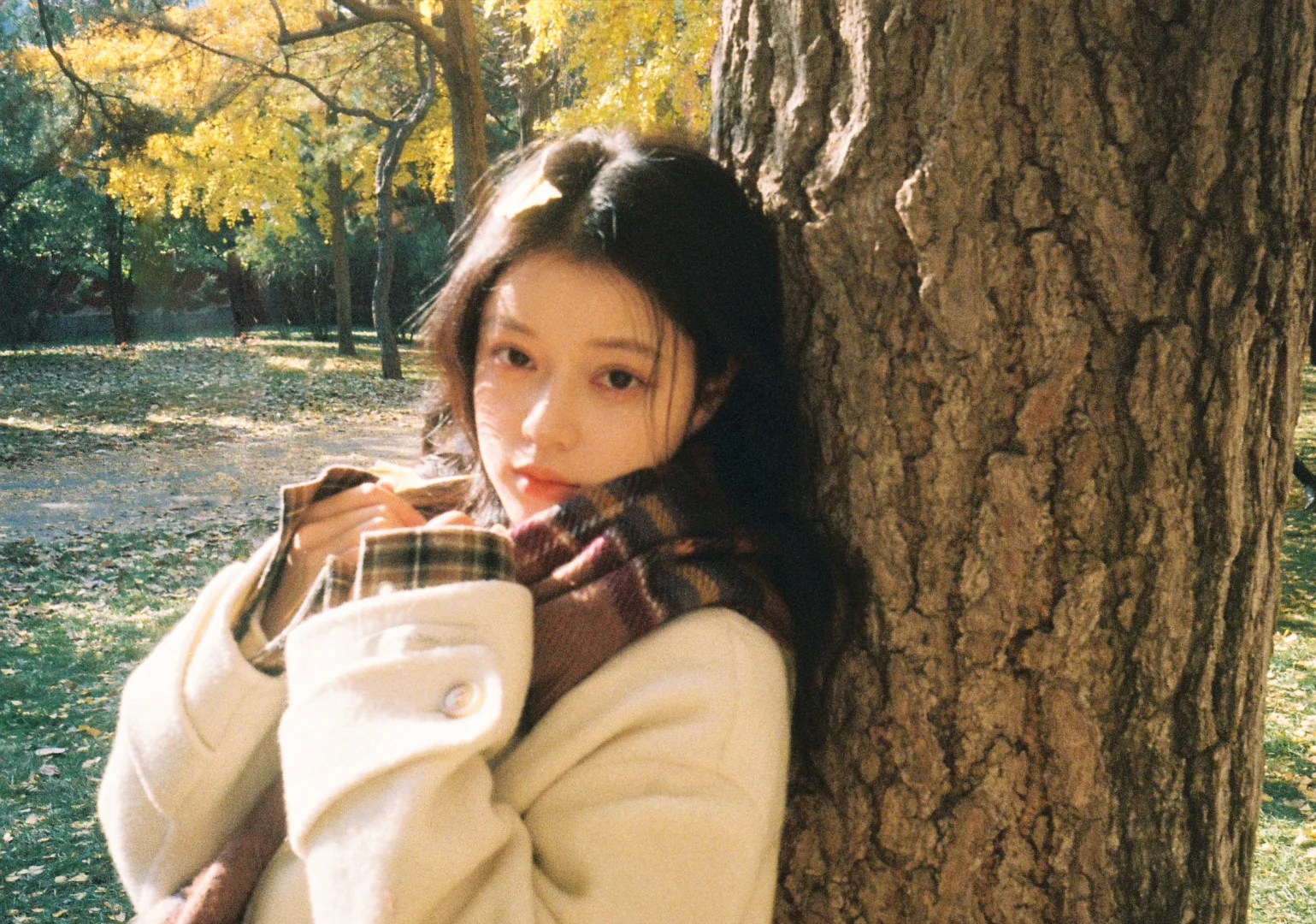 🎞秋天的胶片当然要秋天发