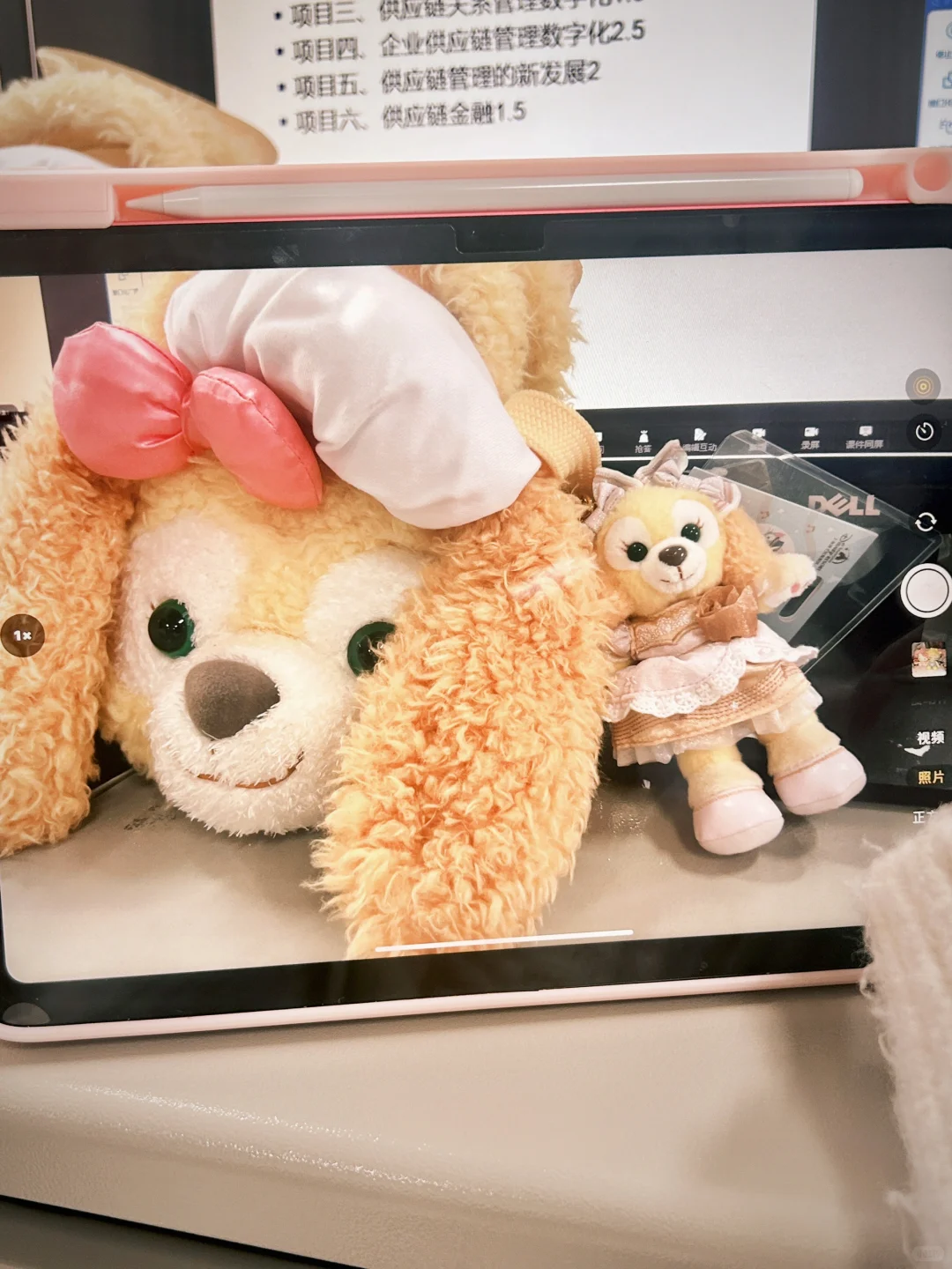 古早洋娃娃⸝⸝'ᜊ'⸝⸝