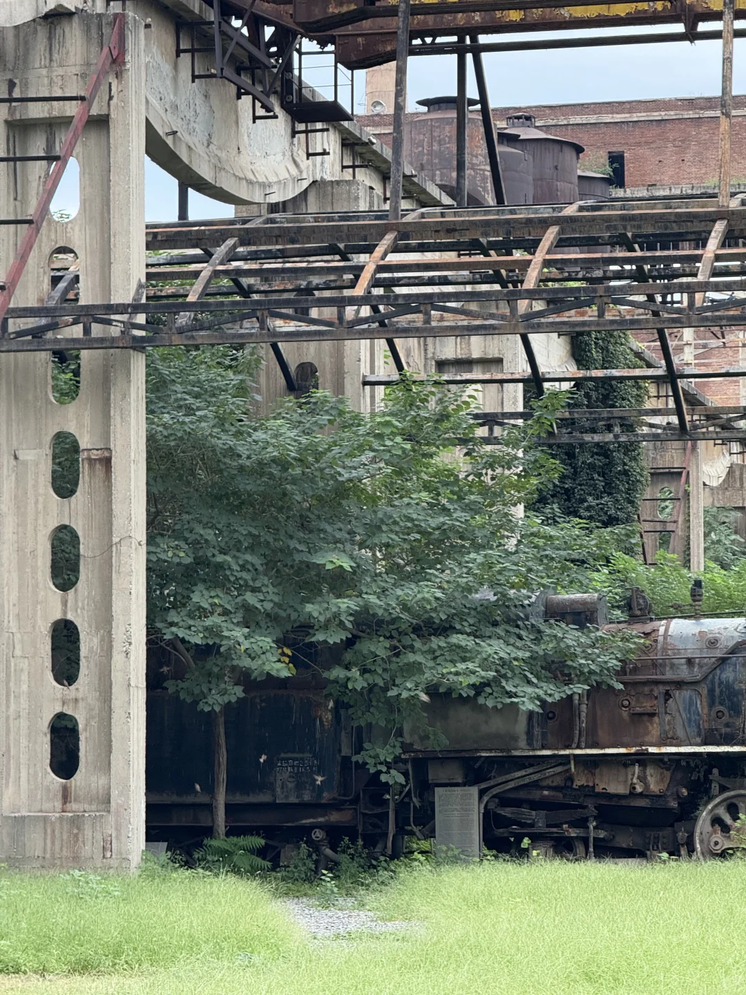 罗小黑破5亿！延档10.17！！！