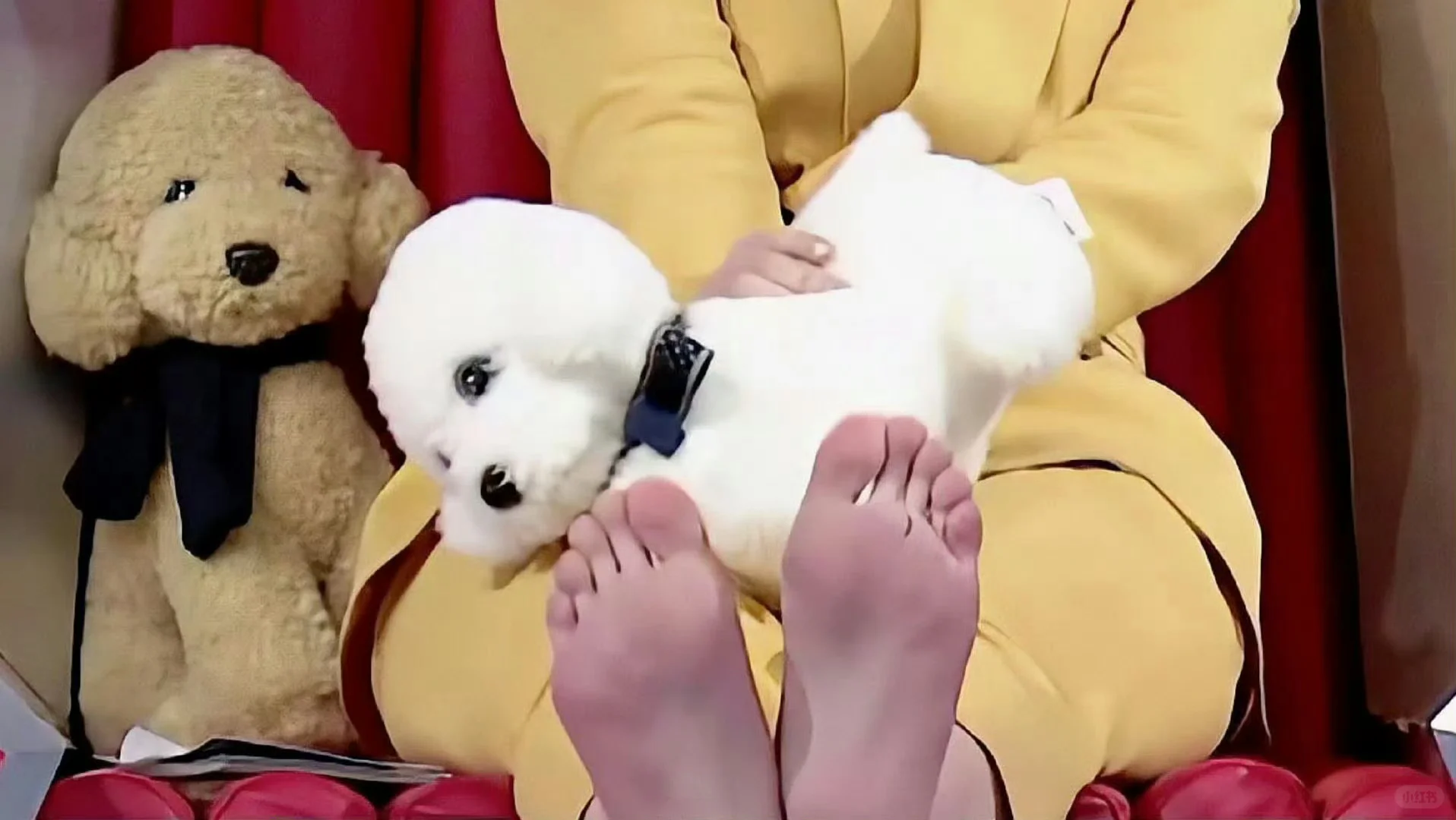 李小璐✨🦶🏻