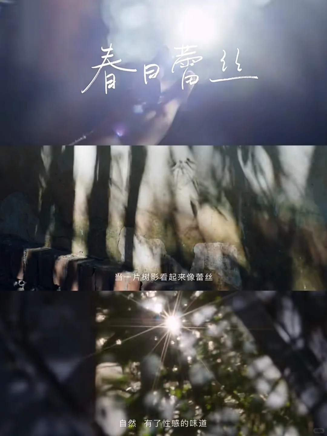 每日文案丨文字不负温柔时光