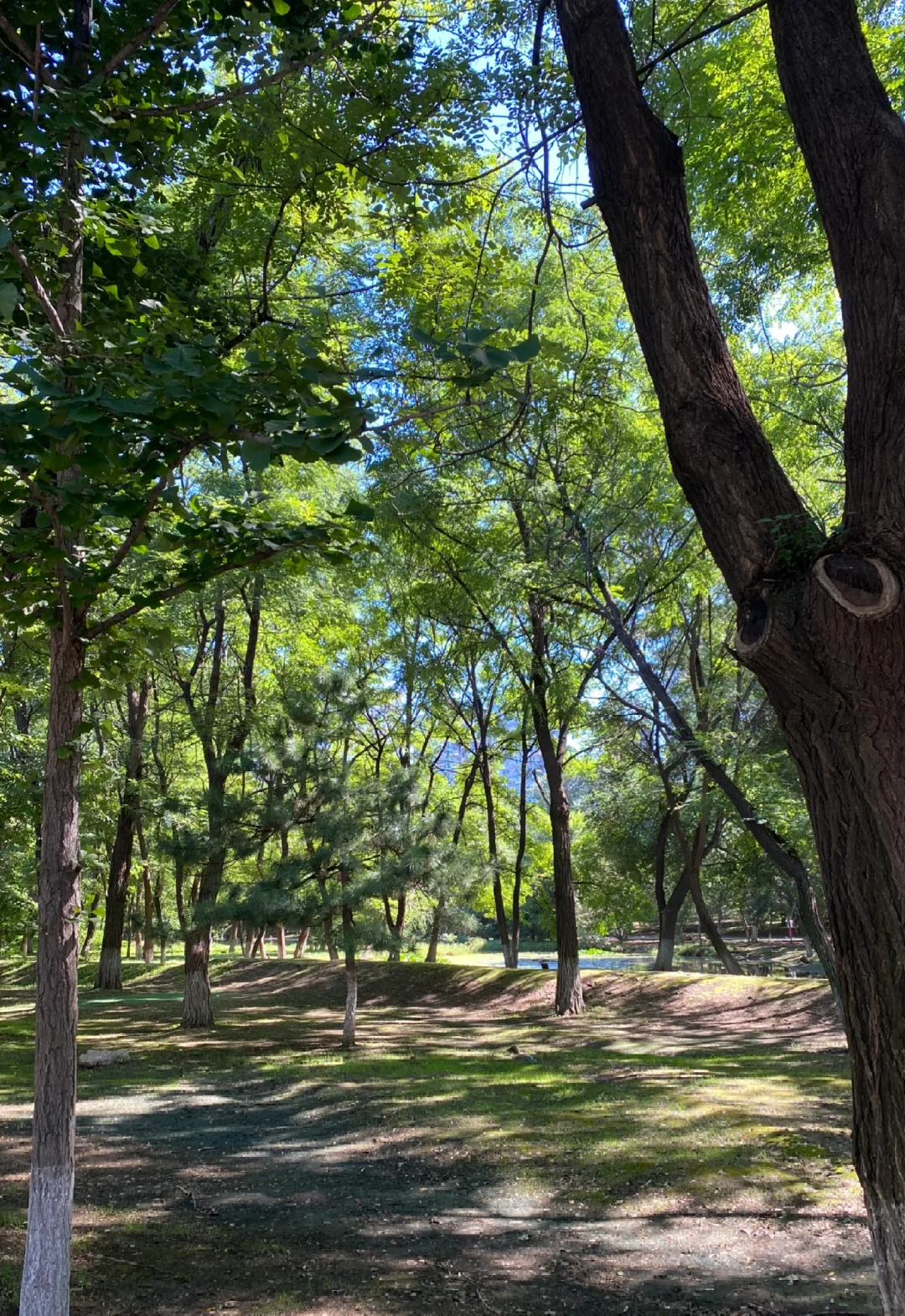 大自然是灵气最纯粹的地方