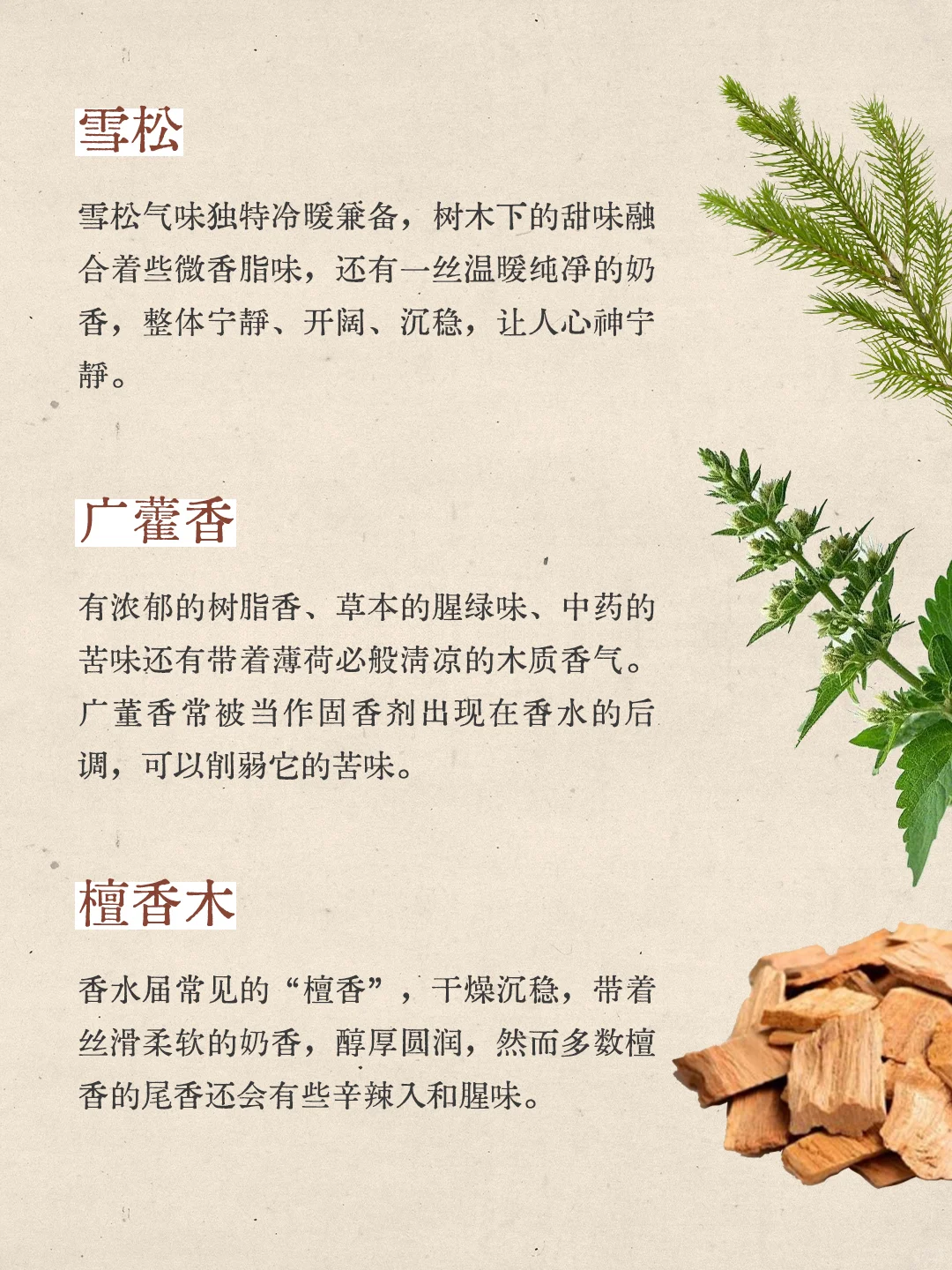 🌲木质香盘点 你更喜欢哪种？
